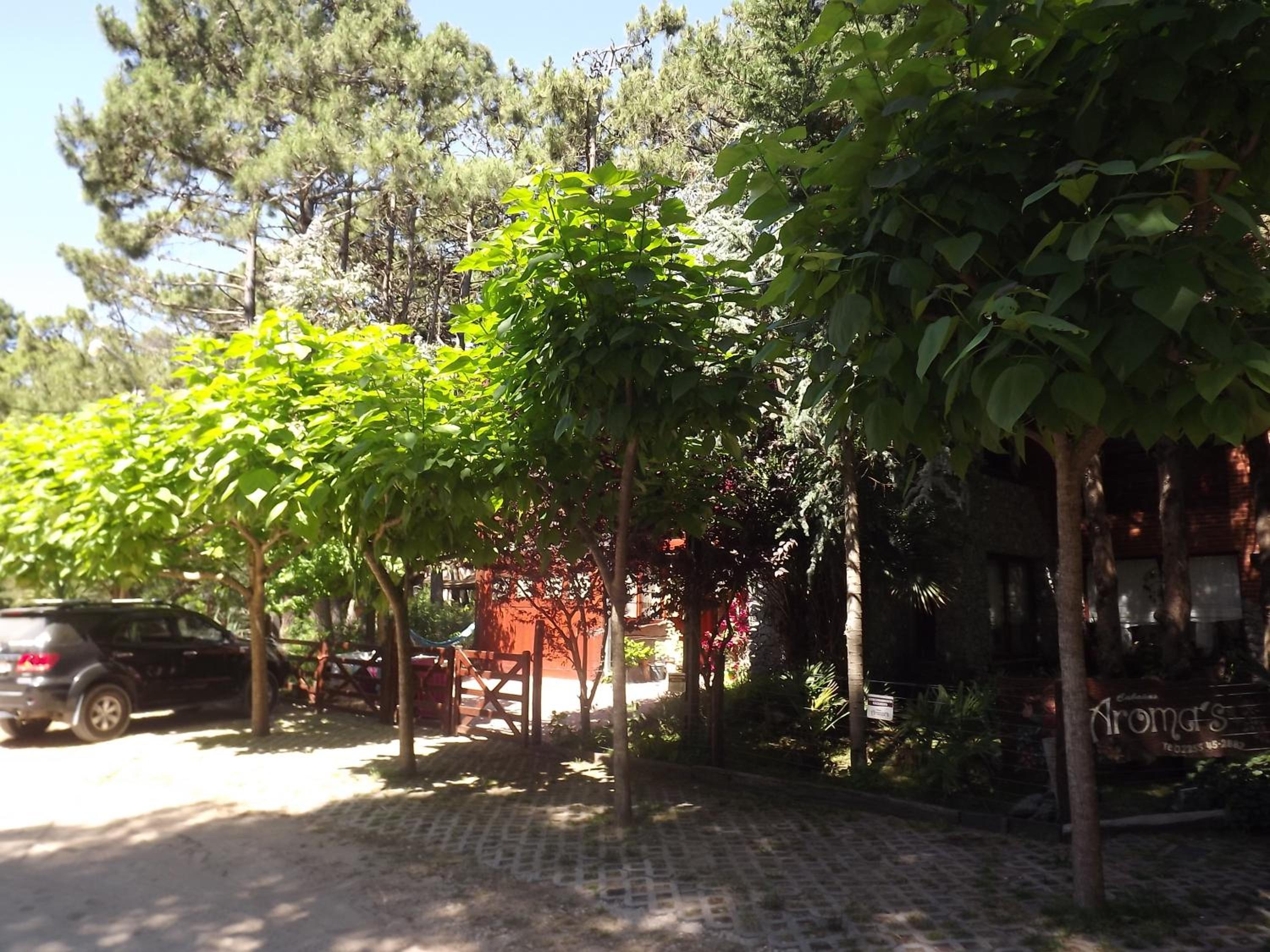 Complejo Aroma's