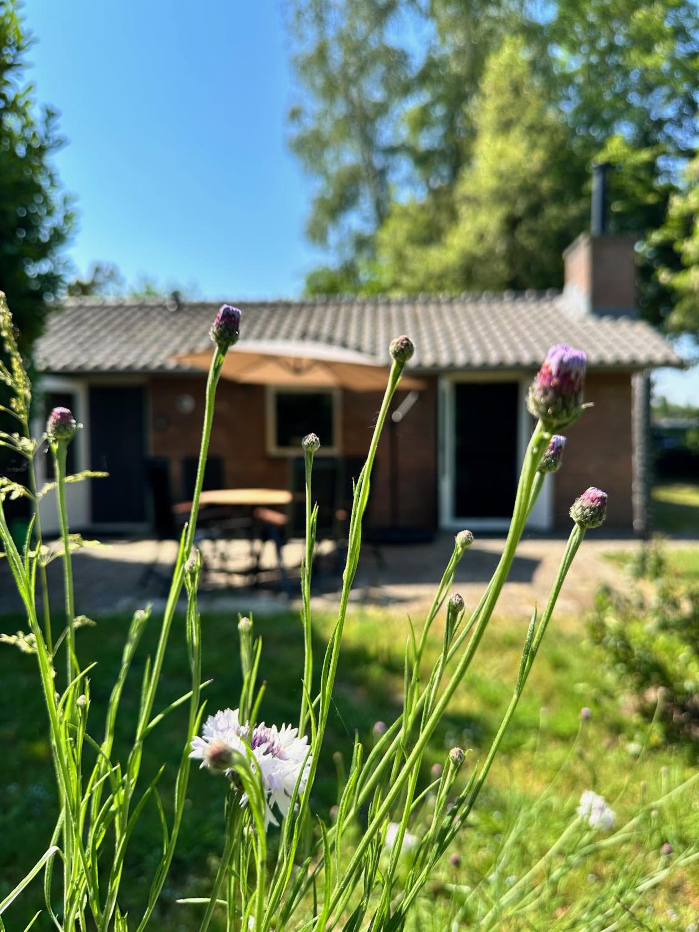 Achterhoekhuisje De Rode Beuk
