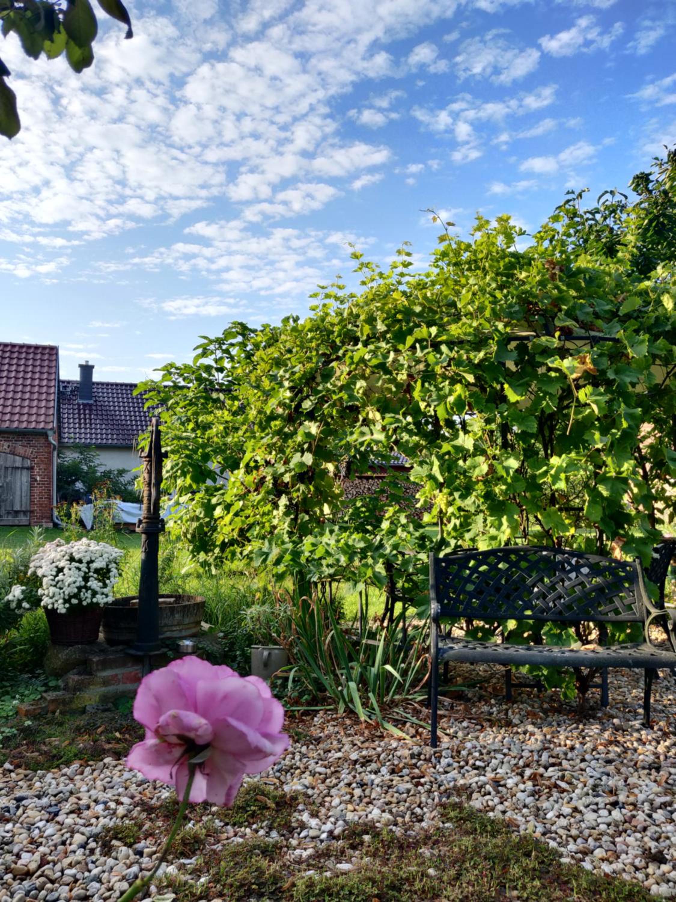 Schuberts Oderbruch Landpension
