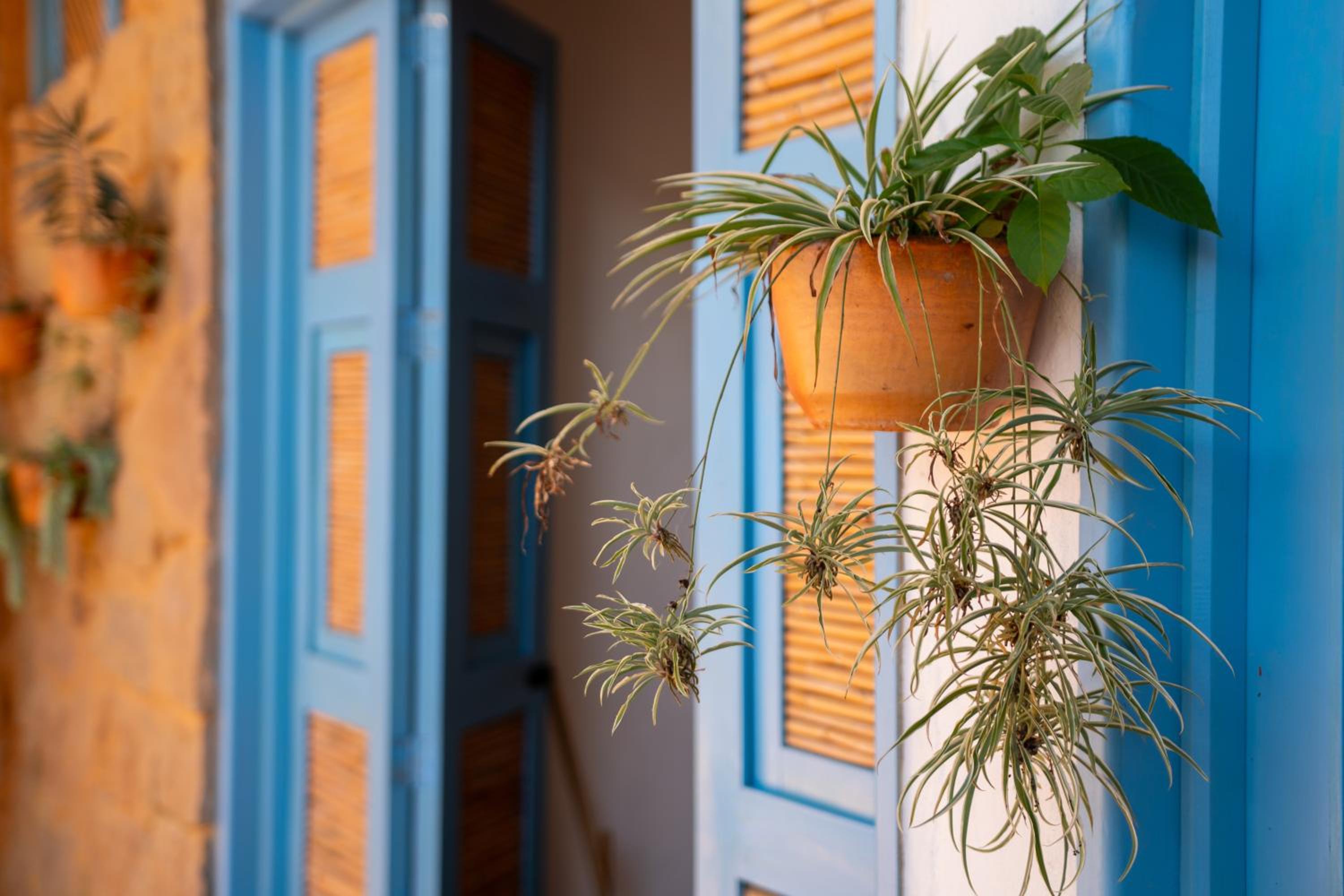 Hotel Boutique Casa Encanto Barichara