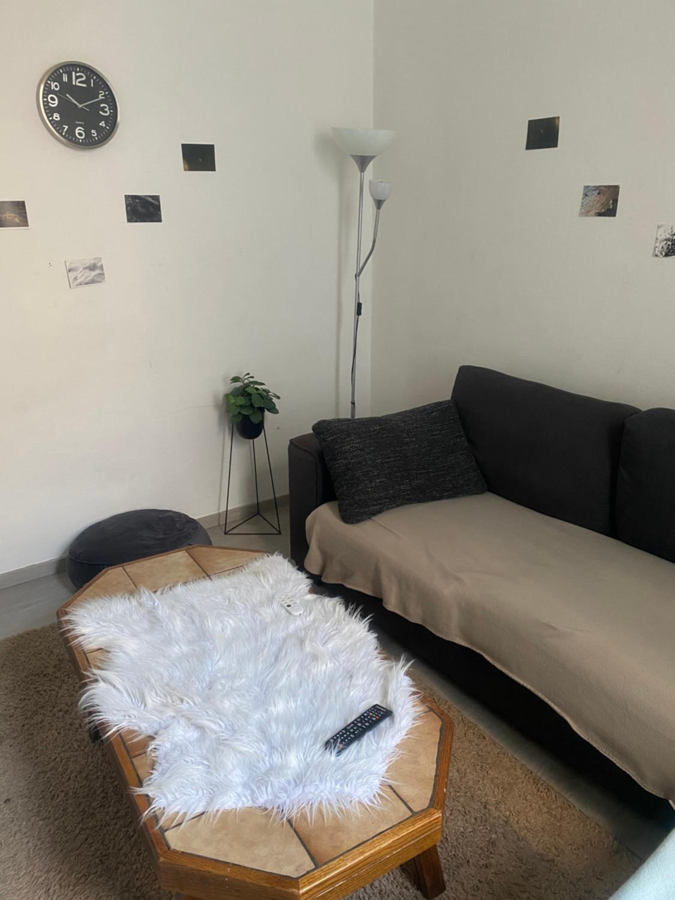 Beautiful Big Apartment in Central Antwerp