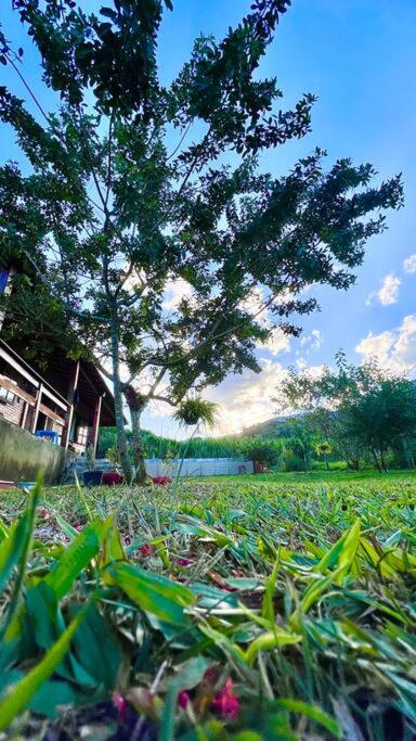 A Casa do Mato - Seu descanso com piscina na serra