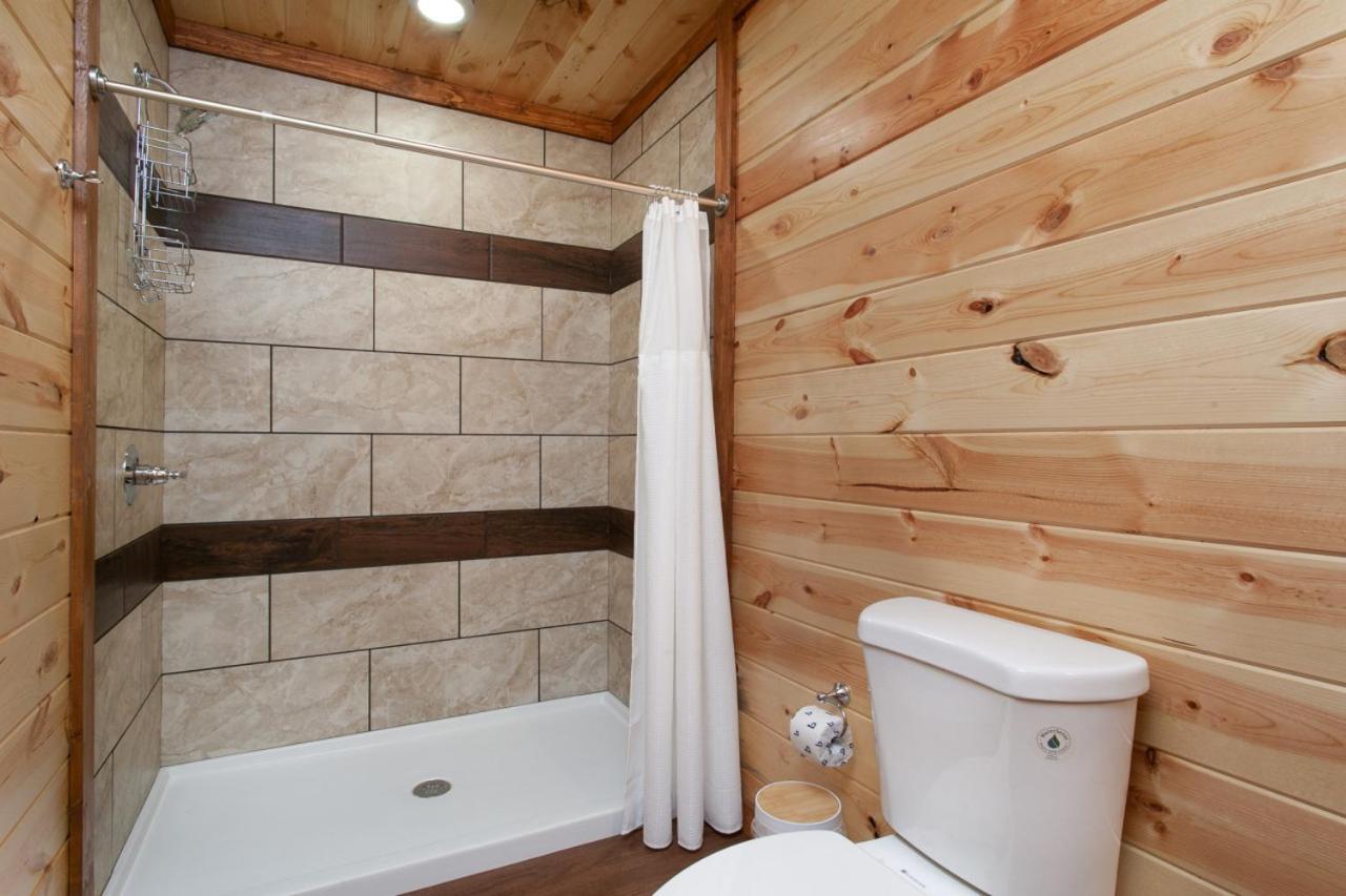 Maya w Indoor Pool Hot Tub Theater view 5