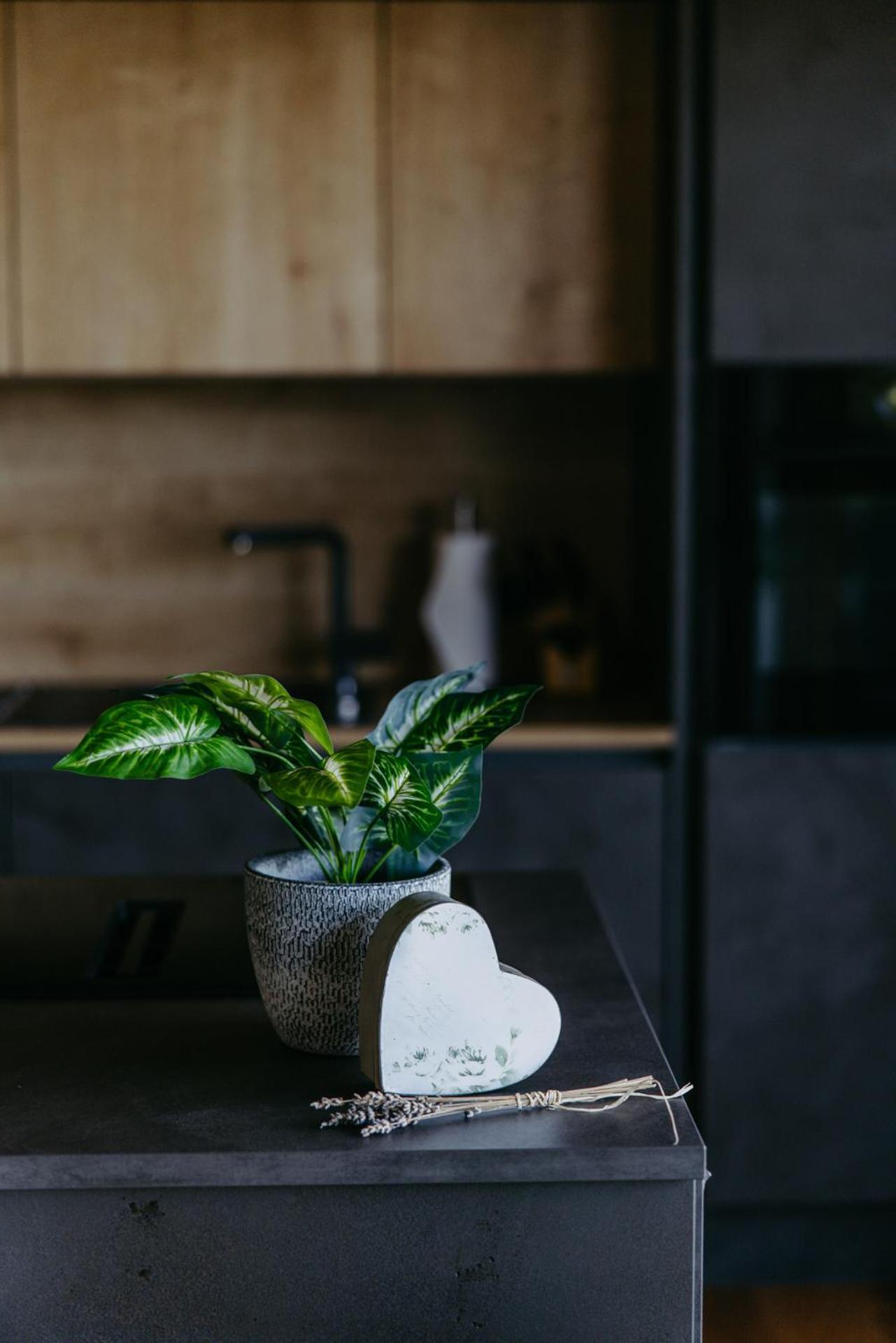 Ferienhaus LuckyLiving