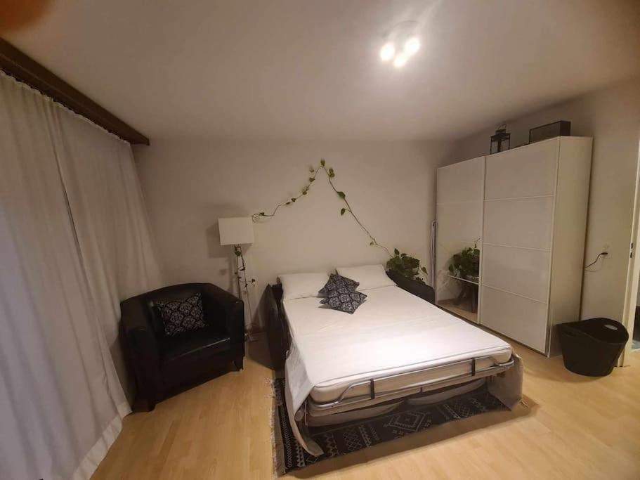 Cozy Apartment in Zürich city