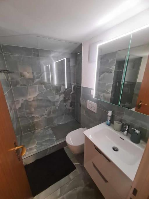 Cozy Apartment in Zürich city