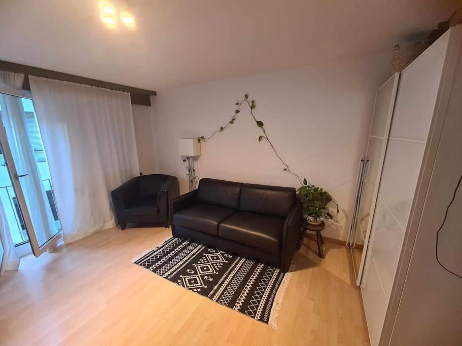 Cozy Apartment in Zürich city