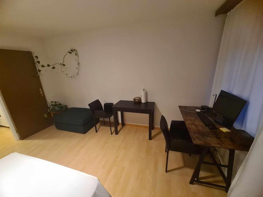 Cozy Apartment in Zürich city