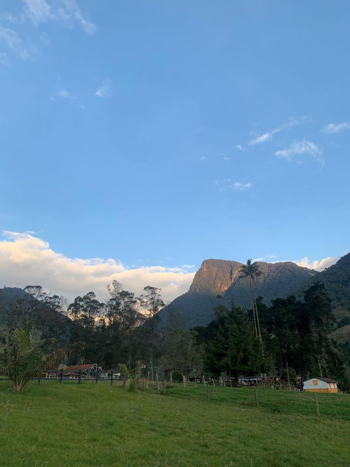 Refugio Nidos del Condor Cocora