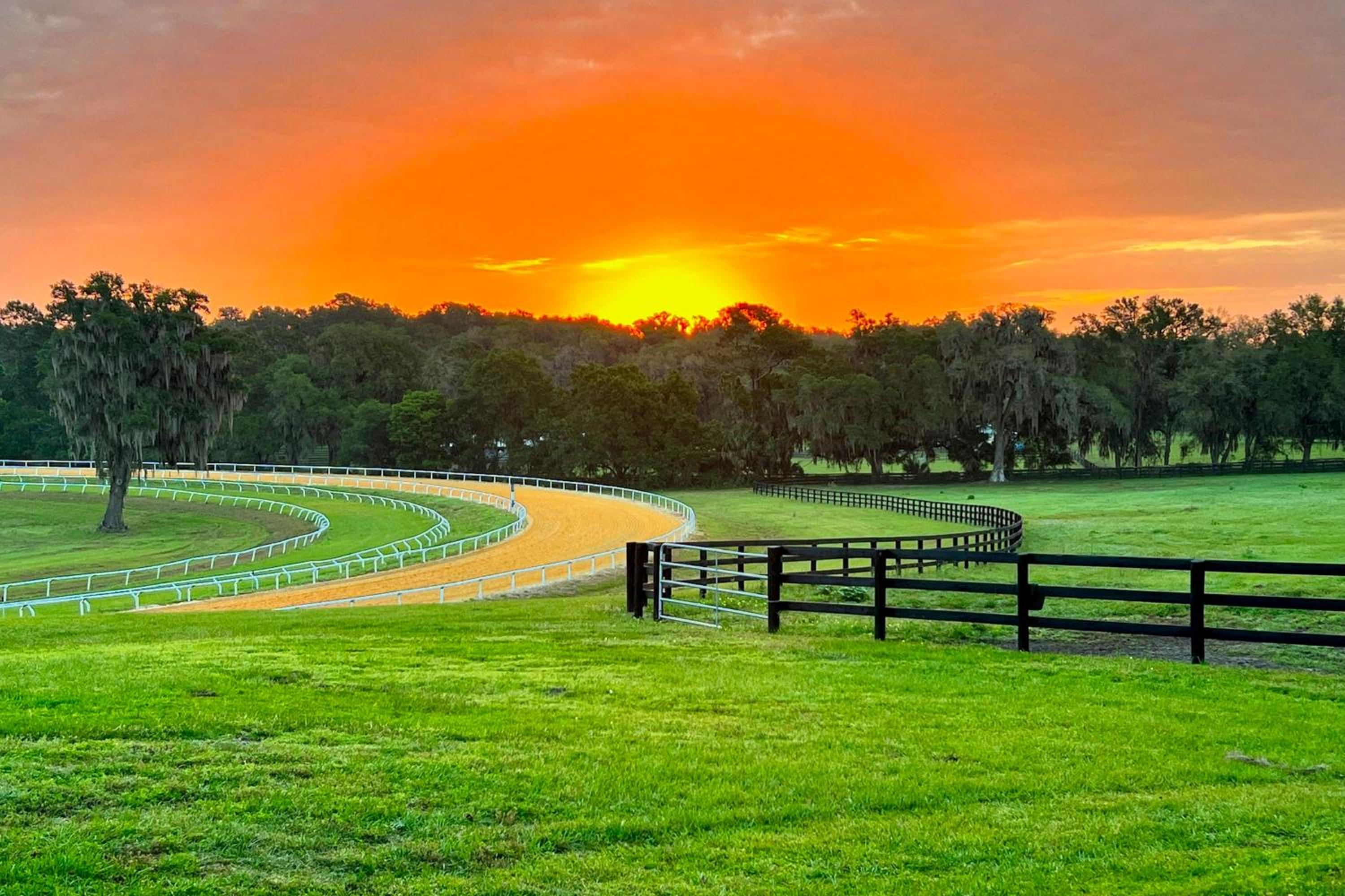 7 Mi to Paynes Prairie Preserve! Rural Retreat