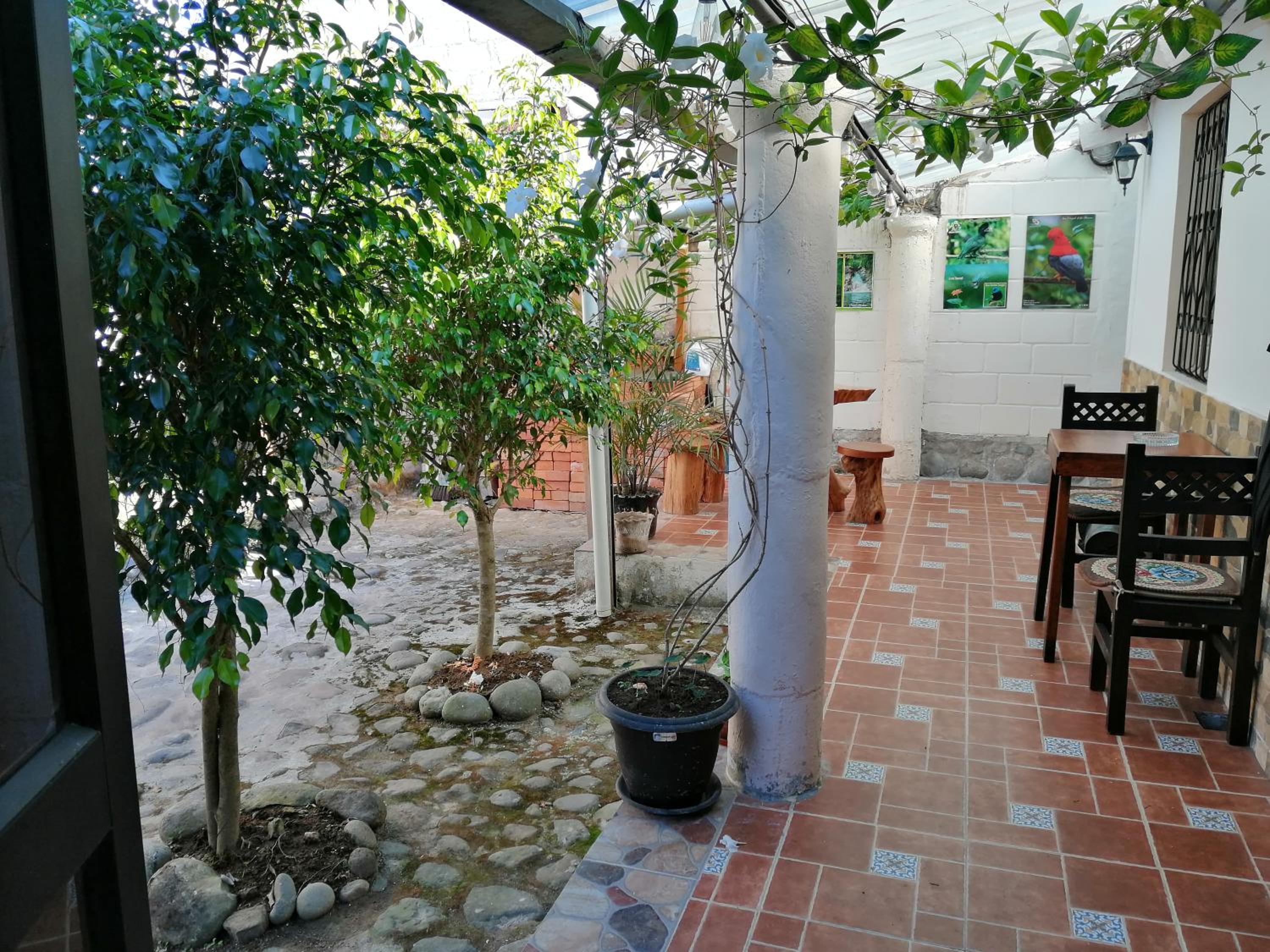 Photo 42