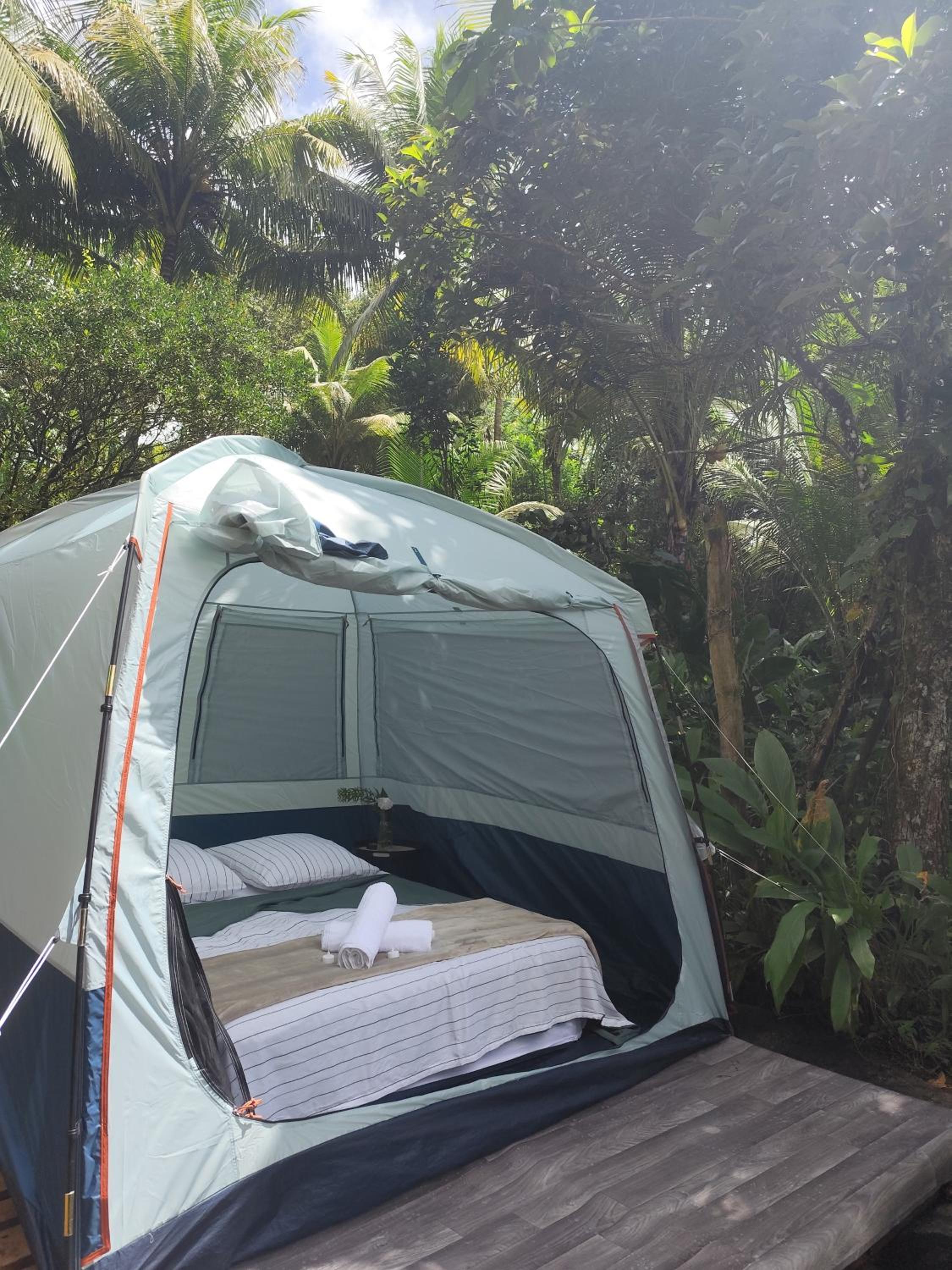 Glamping en pleine nature Rêve et Racines view 4