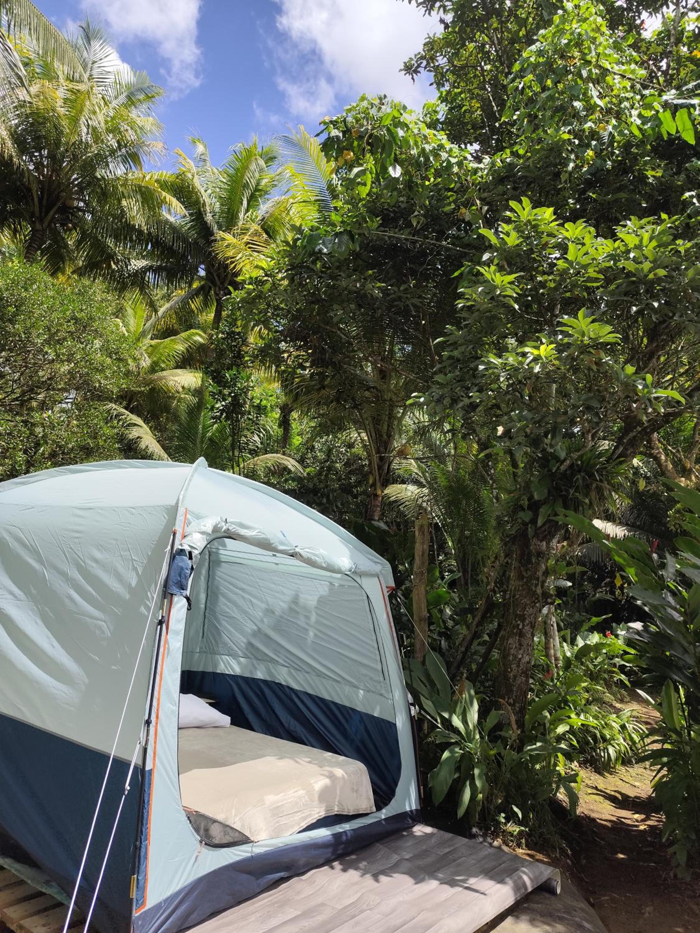 Glamping en pleine nature Rêve et Racines view 5