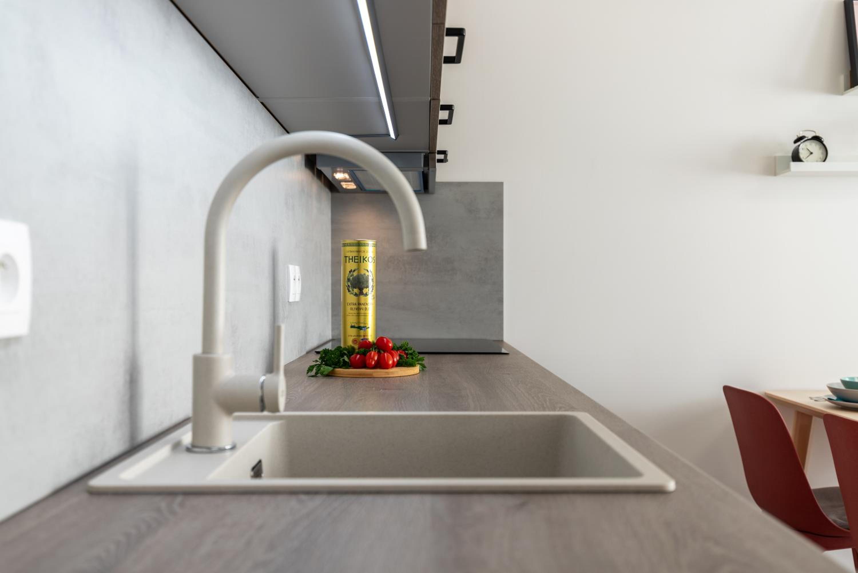 Fully equipped Apartments with Terraces, Free garage parking, Netflix & AC - by Apartmány Šlapanice cz