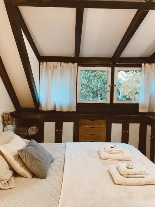 La casita azul