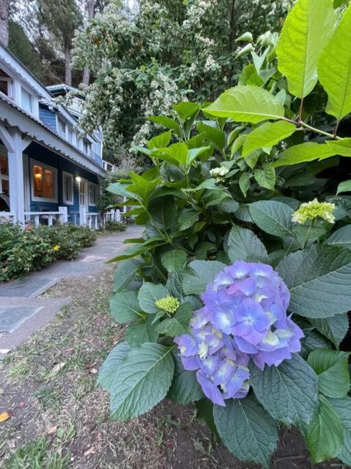 La casita azul