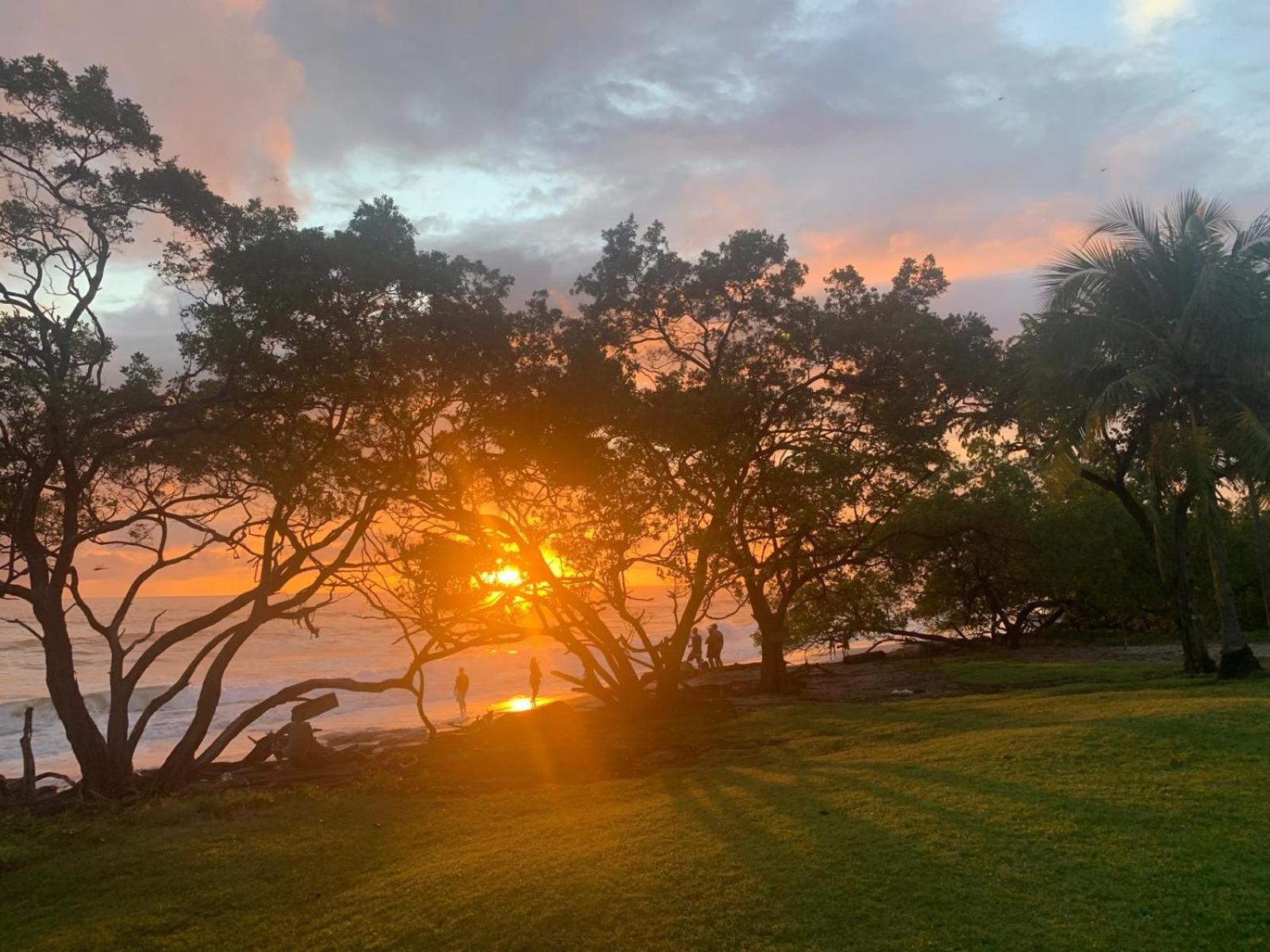 Aloha Amigos