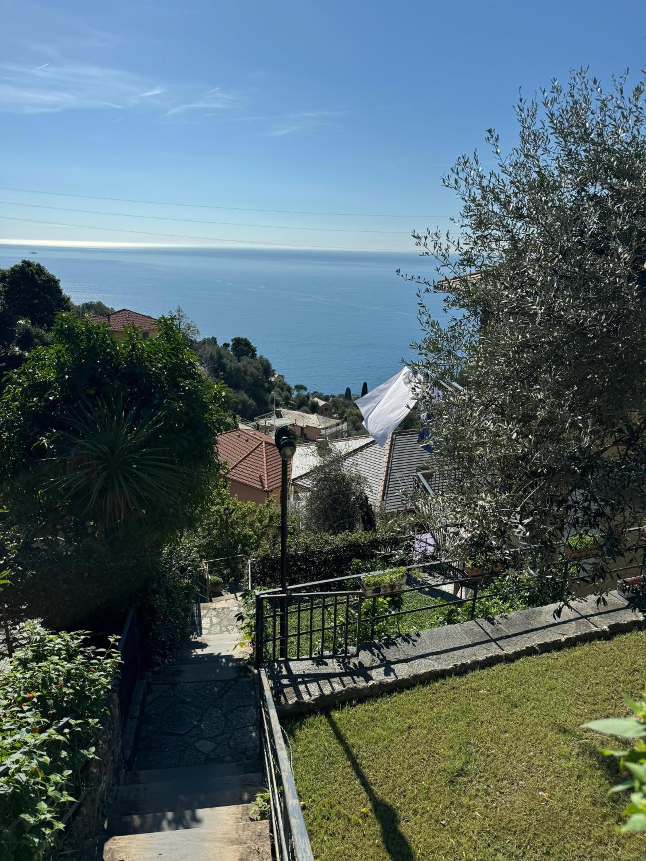 Giardino dei Limoni