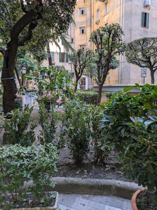A casa di Rosina