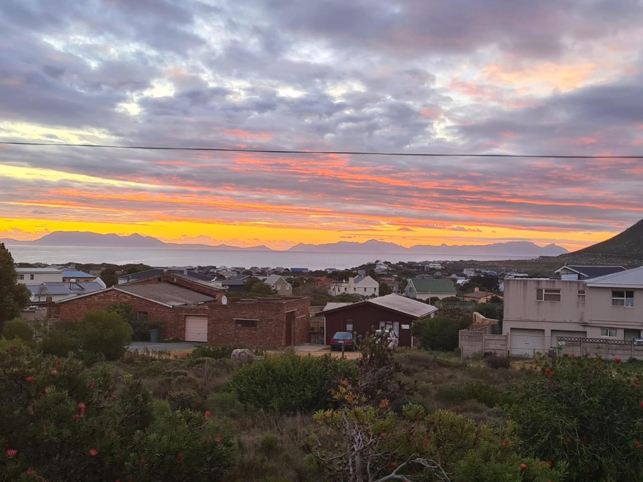 Sunset Splendour