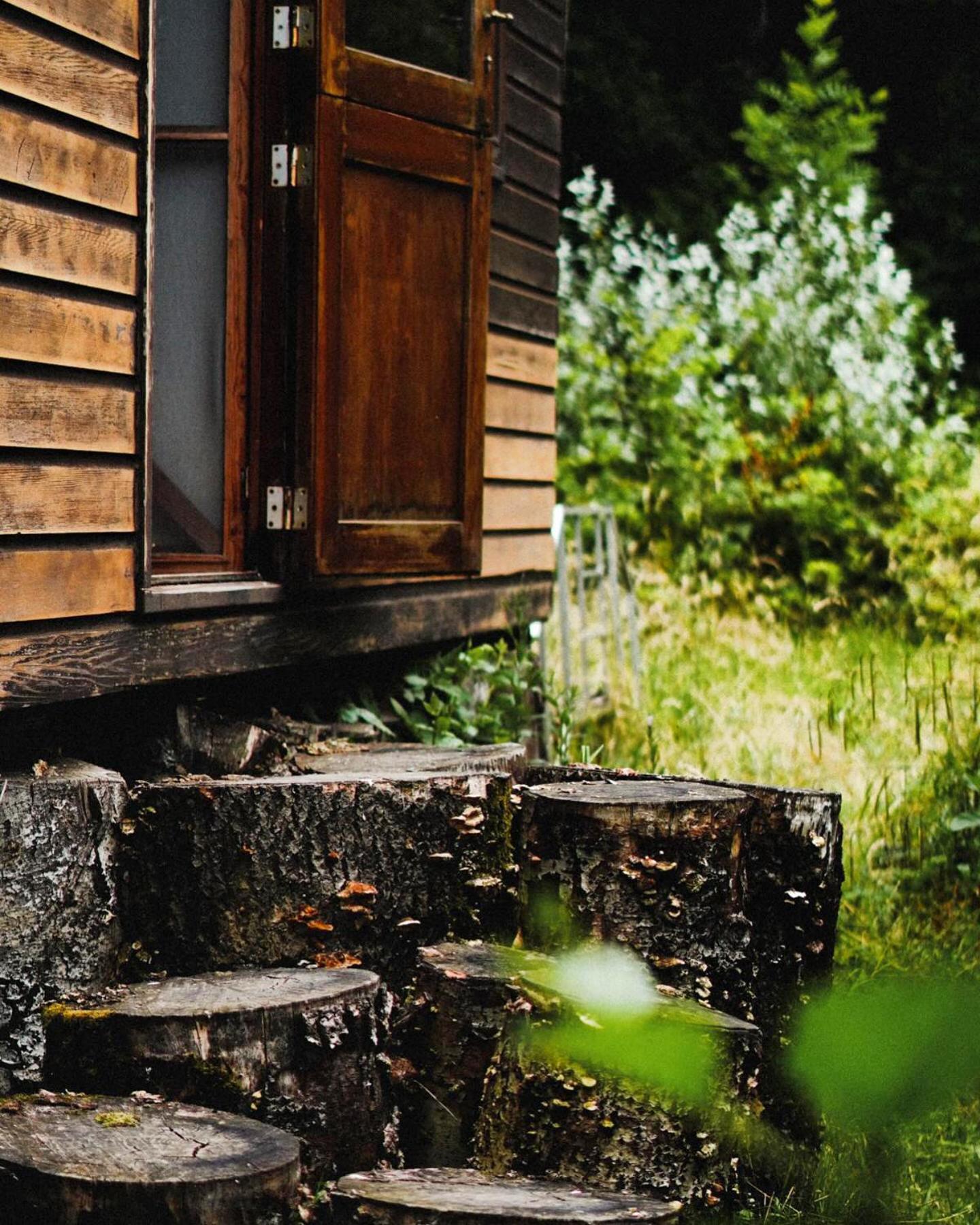 TinyHouse ForRest