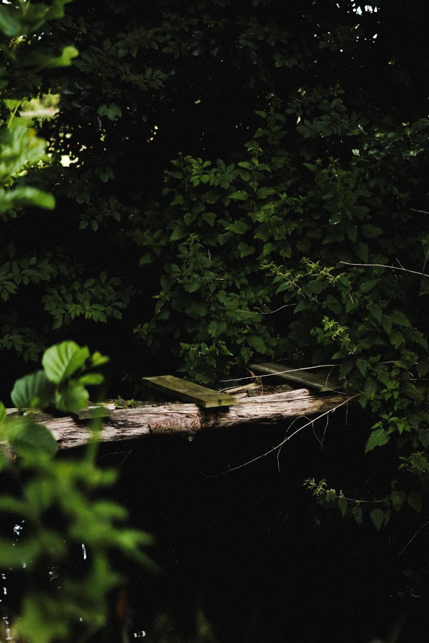 TinyHouse ForRest