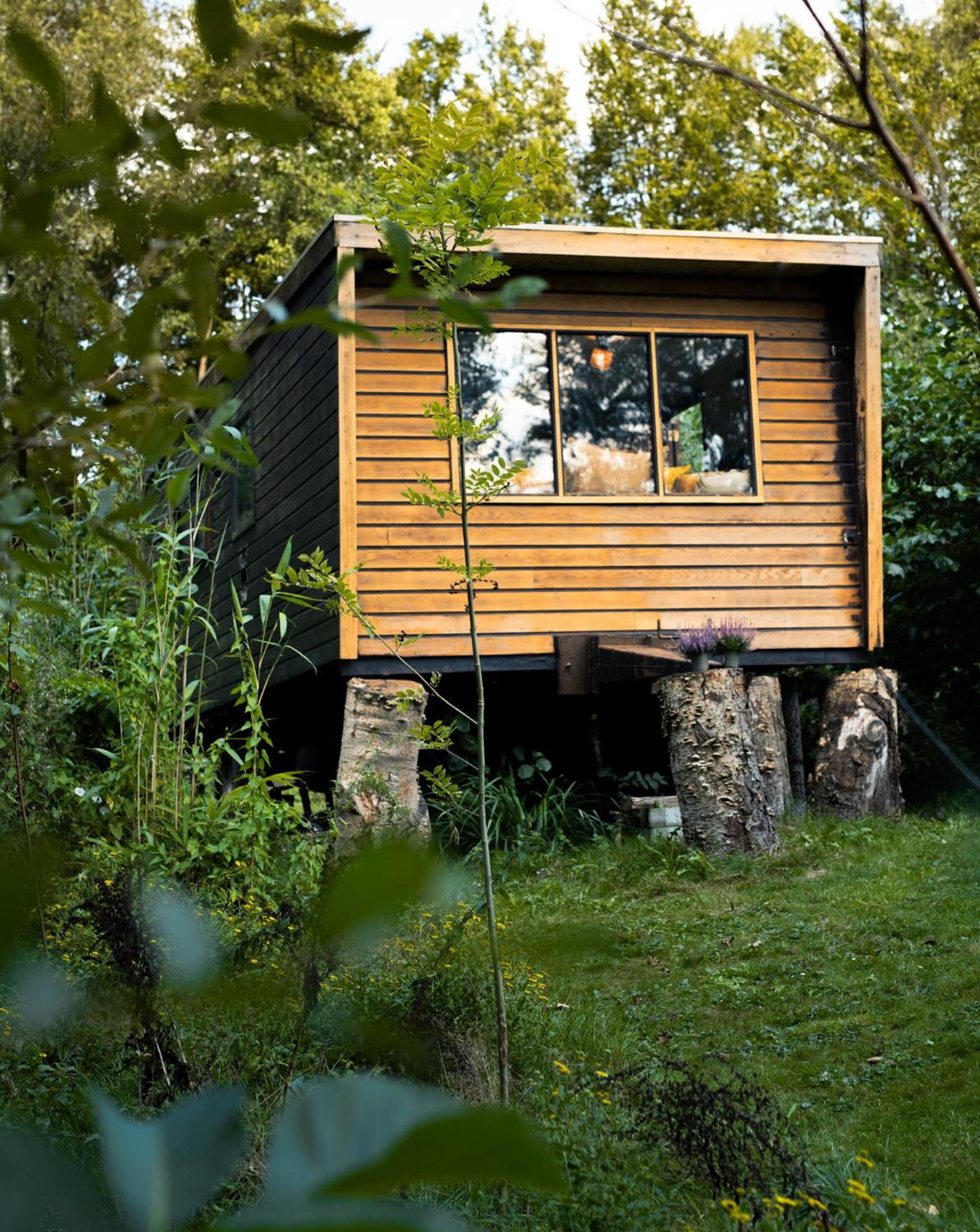 TinyHouse ForRest