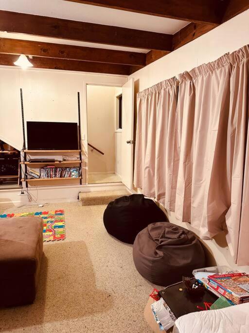 Ōmāpere Bach view 4