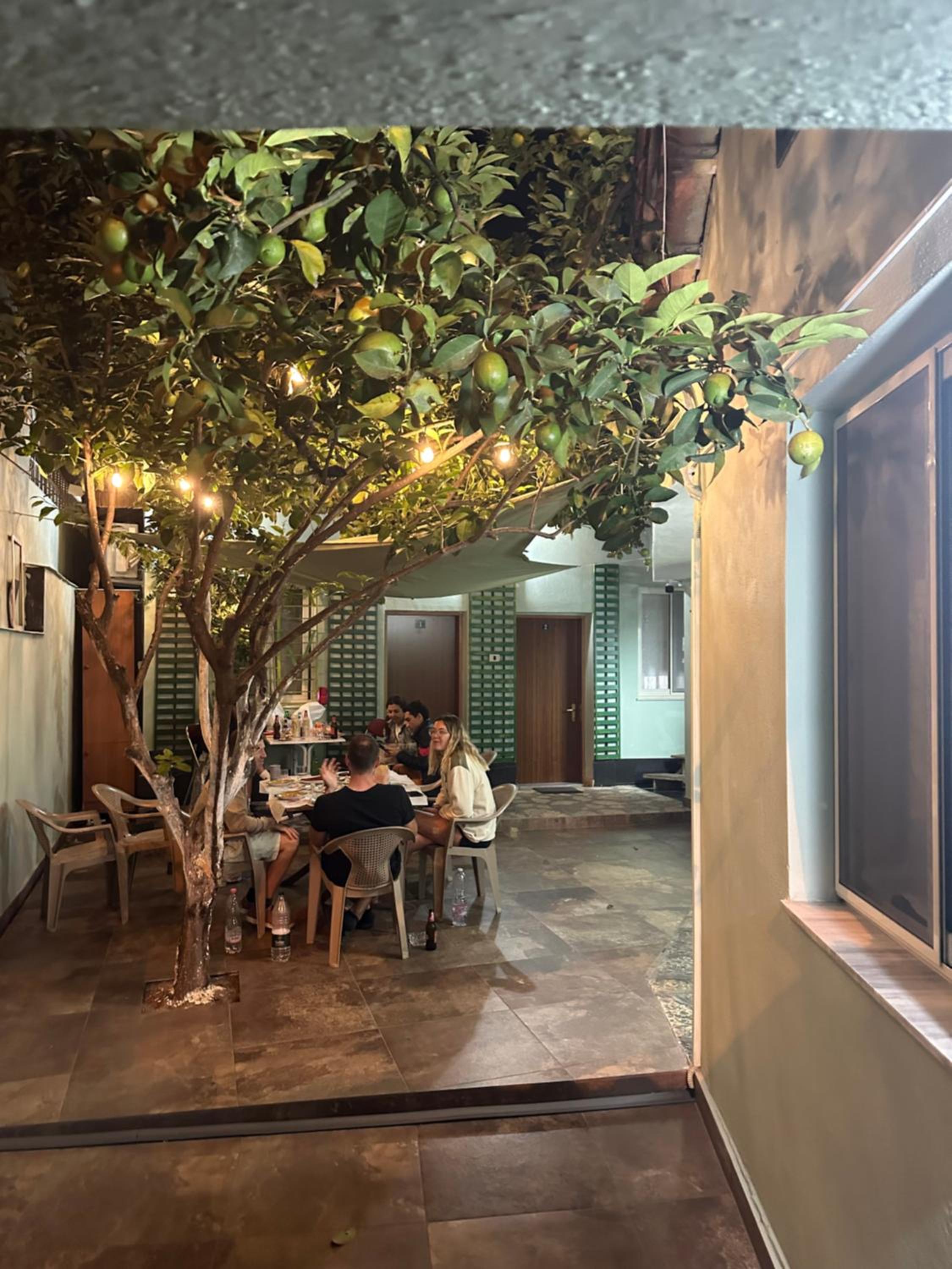 Tirana Lemon Breeze Hostel