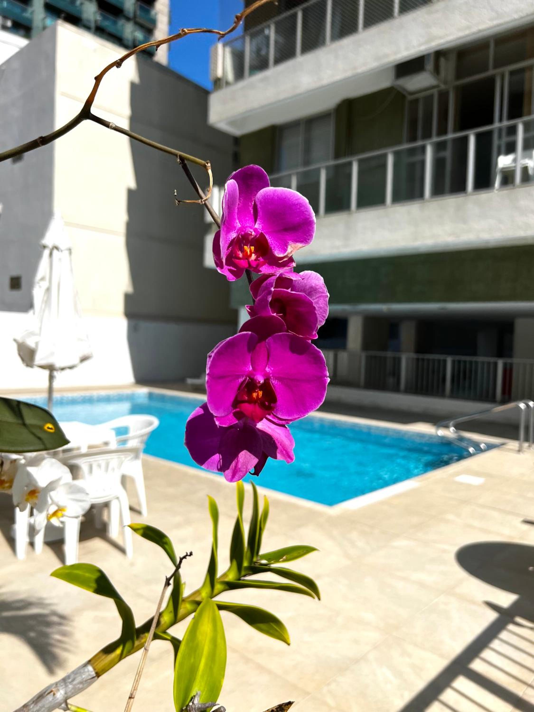 Unhotel - Style Carioca em Ipanema Piscina, Praia e Metrô