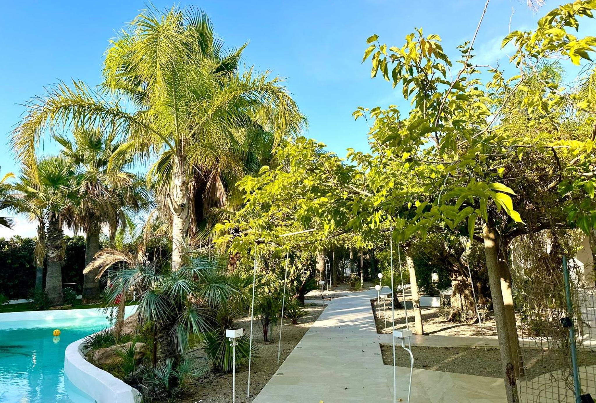 Palm Garden Valencia