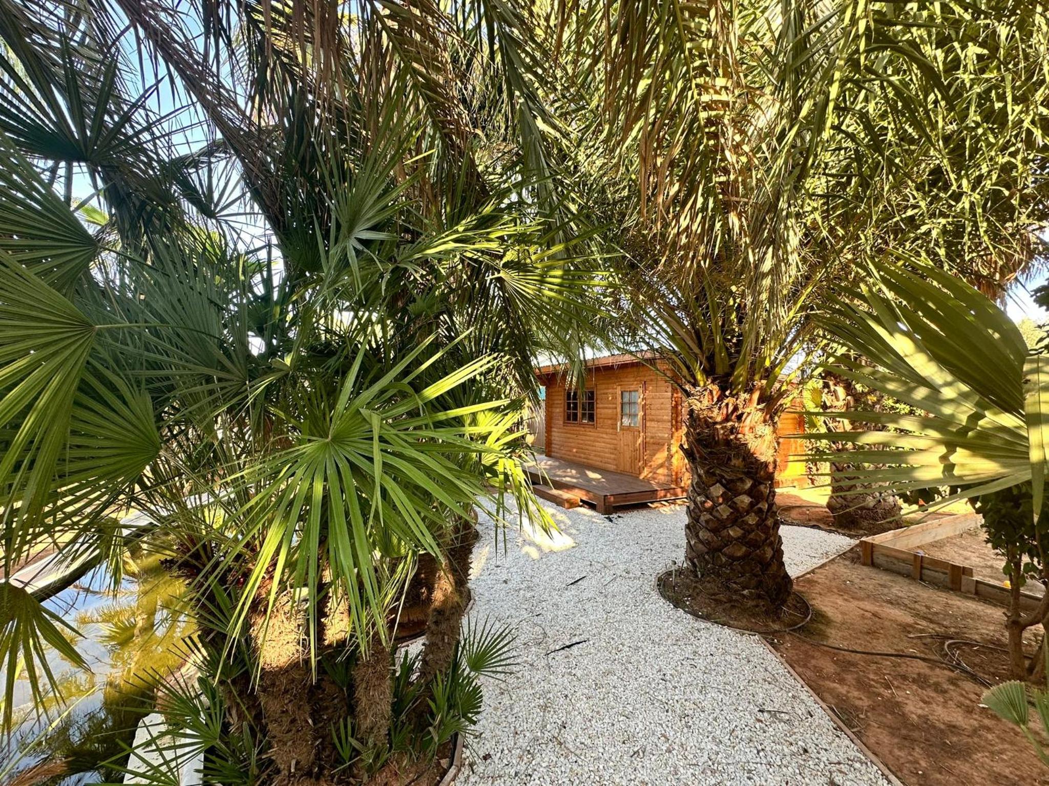Palm Garden Valencia