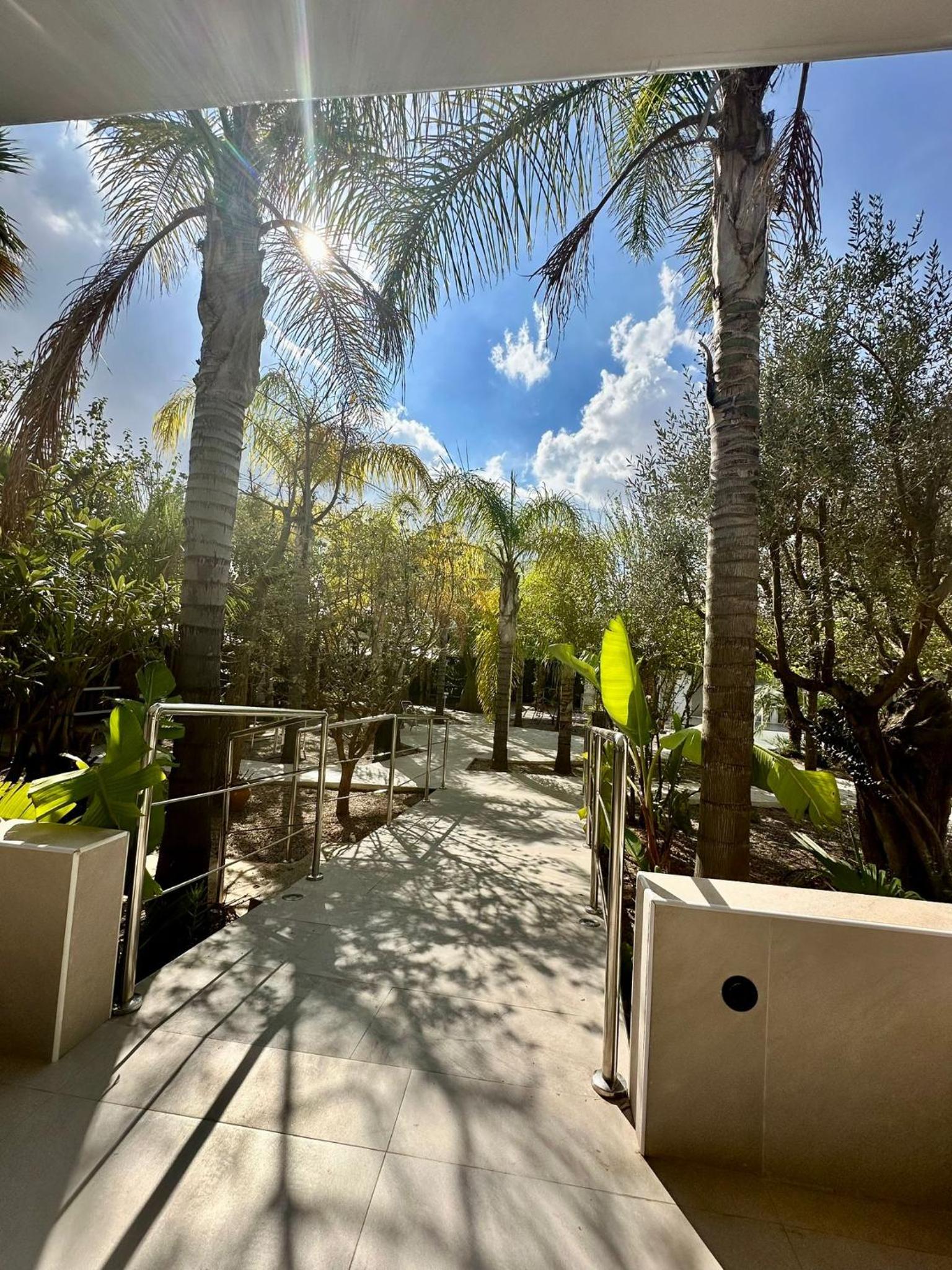 Palm Garden Valencia