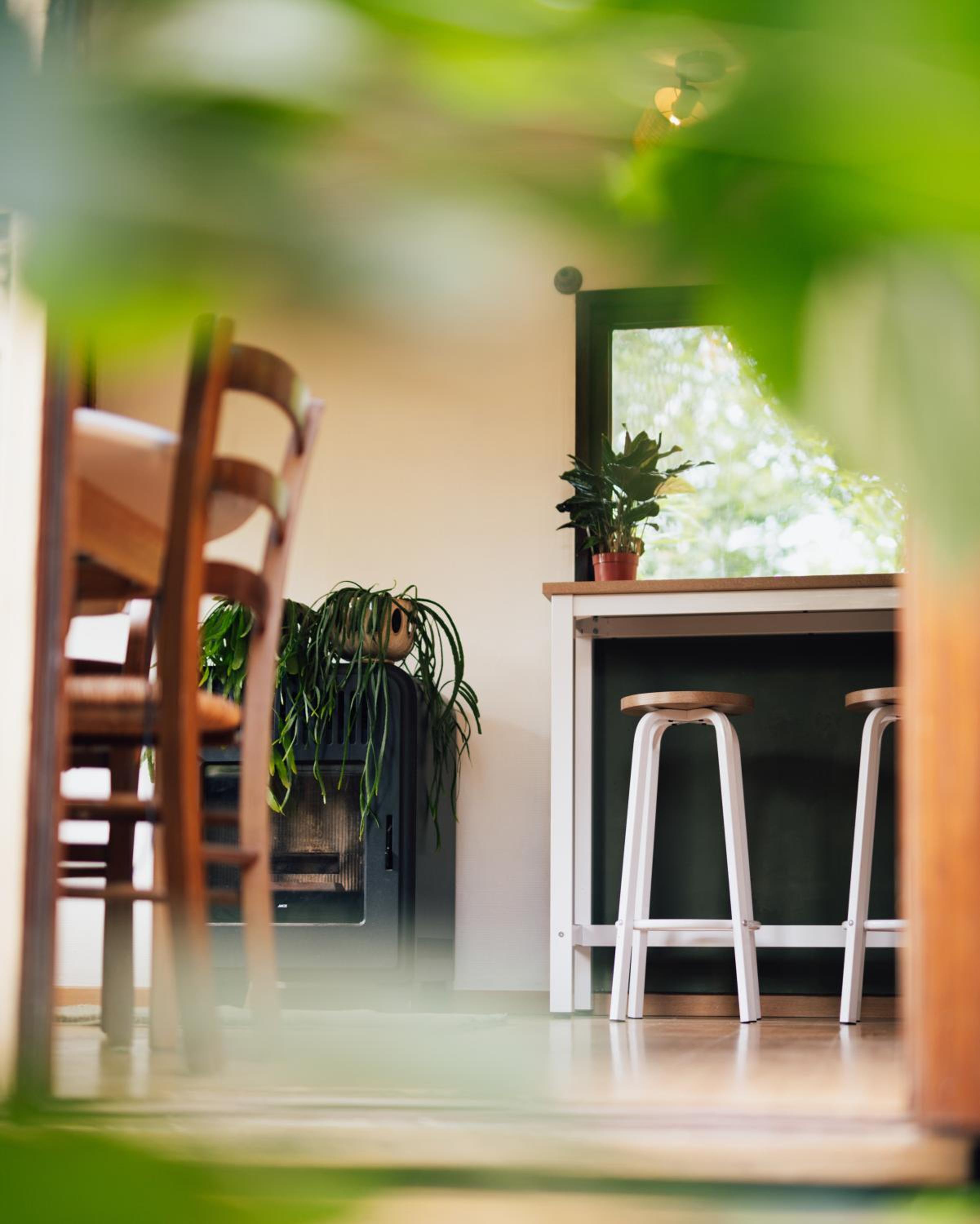 TinyHouse ForRest