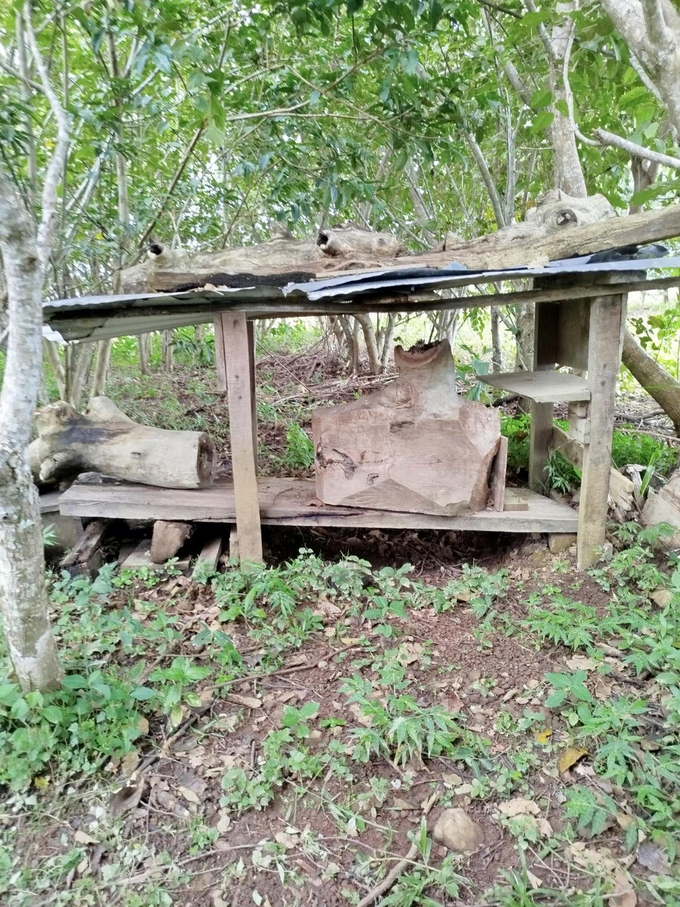 Sustainable, Off-Grid and Organic Cabins on a Farm in a Secluded Cloud Forest, Ultra Low Carbon Footprint, 4x4