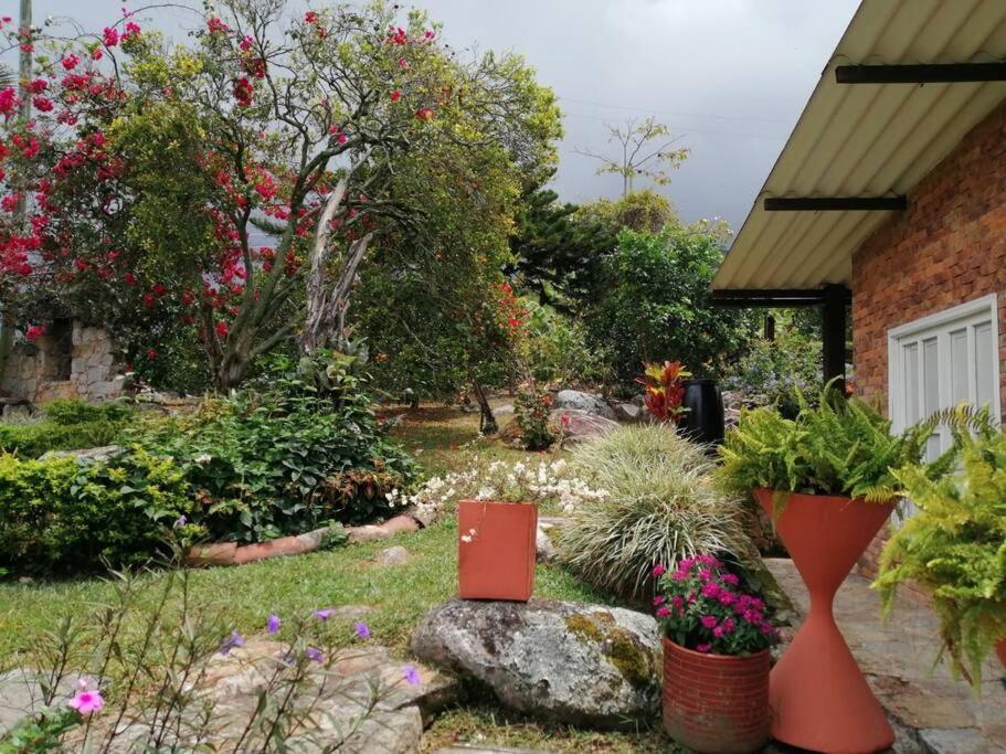 El Refugio de Mesitas