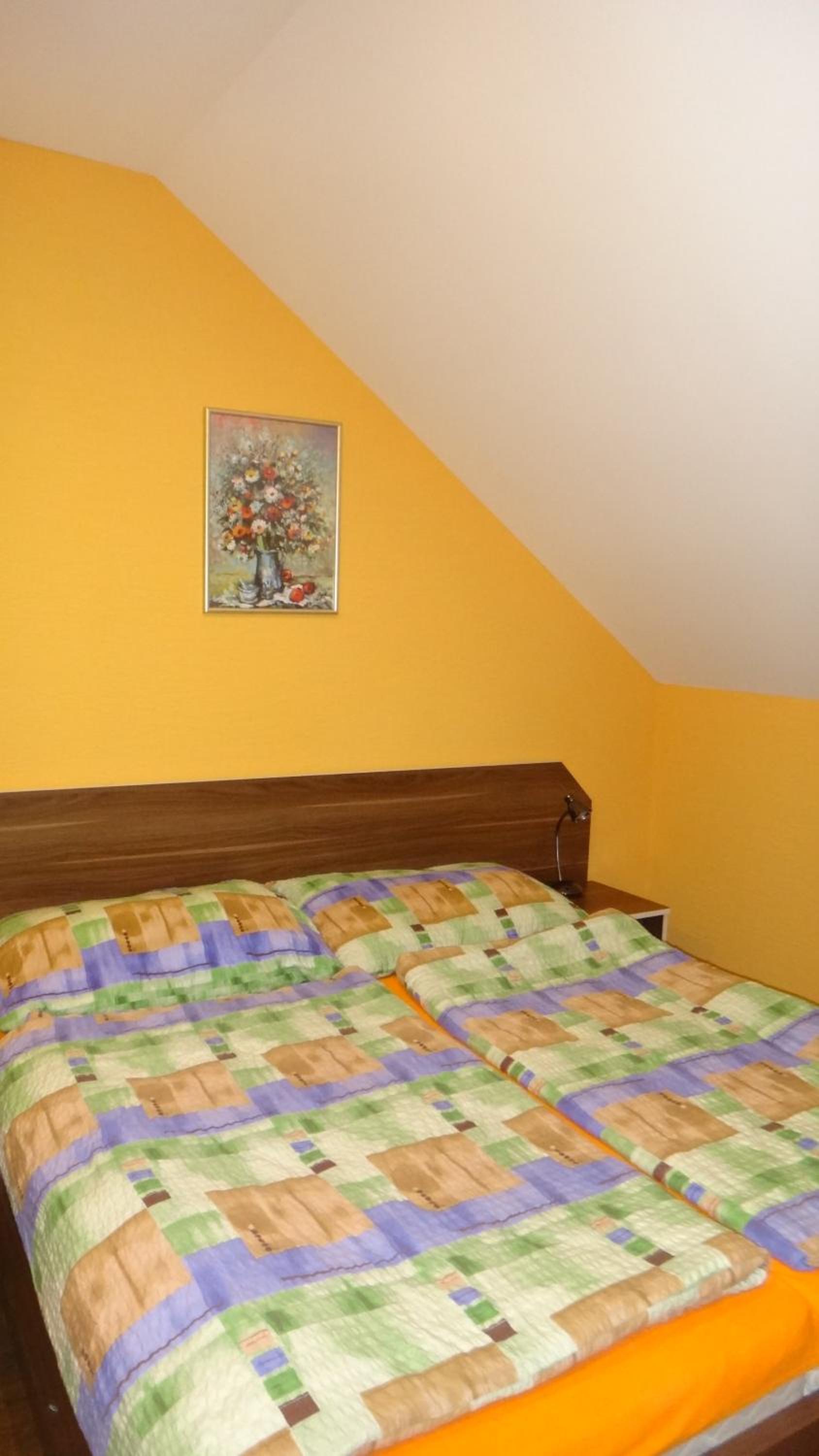 Photo 51