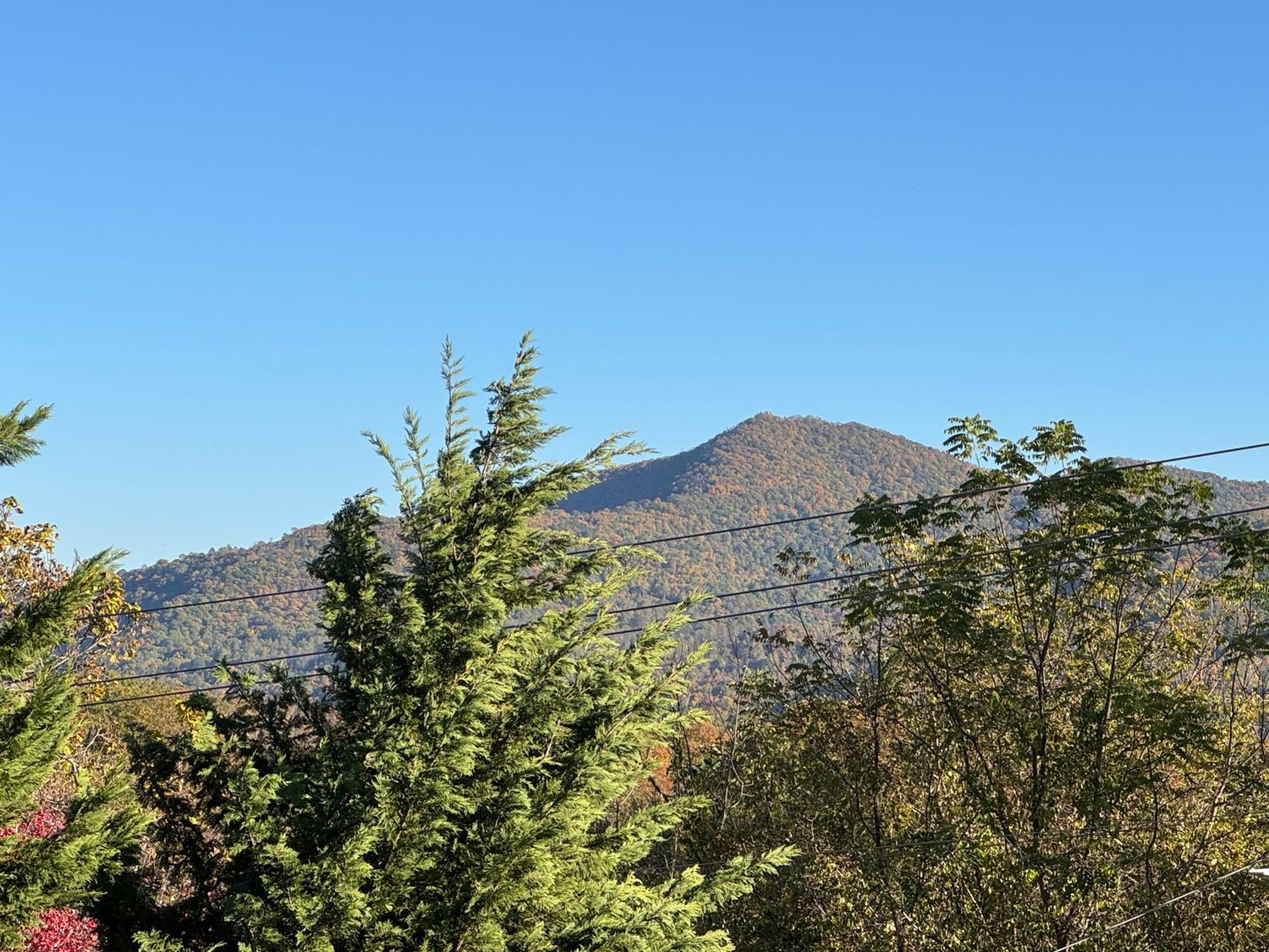 Photo 41