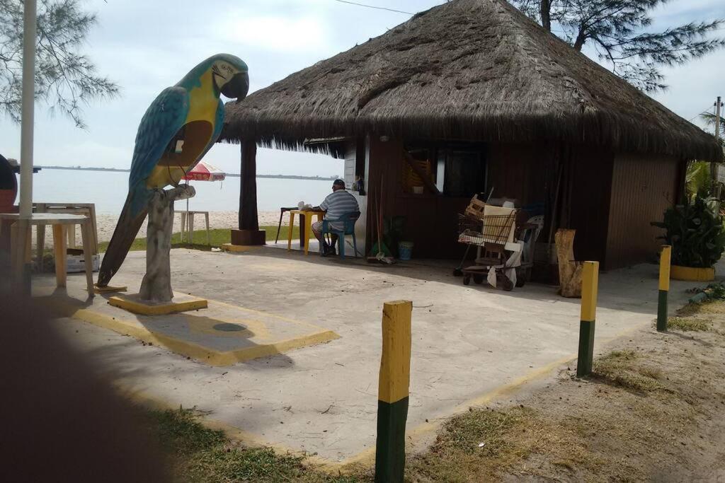 Pé na areia, água de coco, mar!