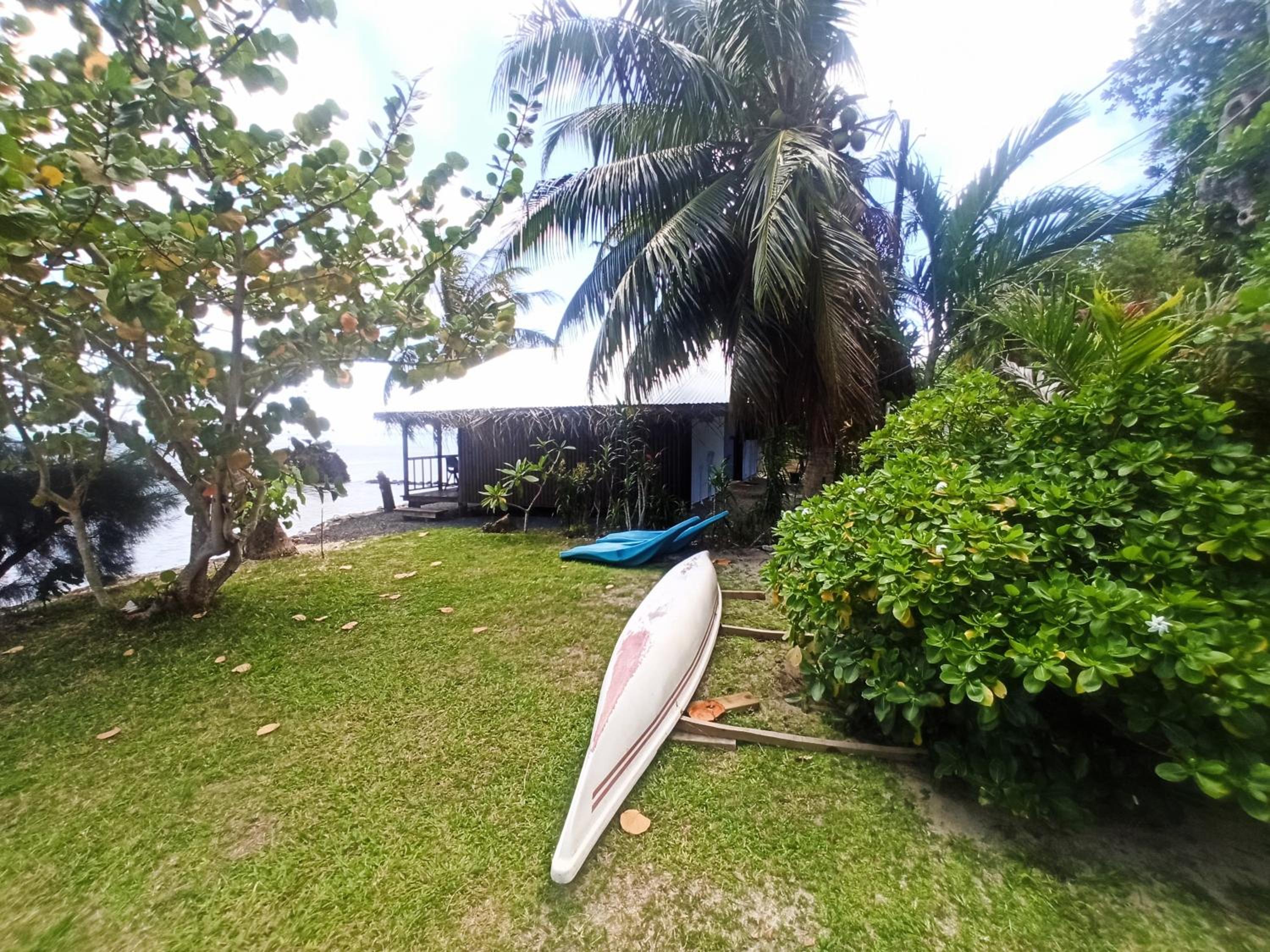 Photo 12