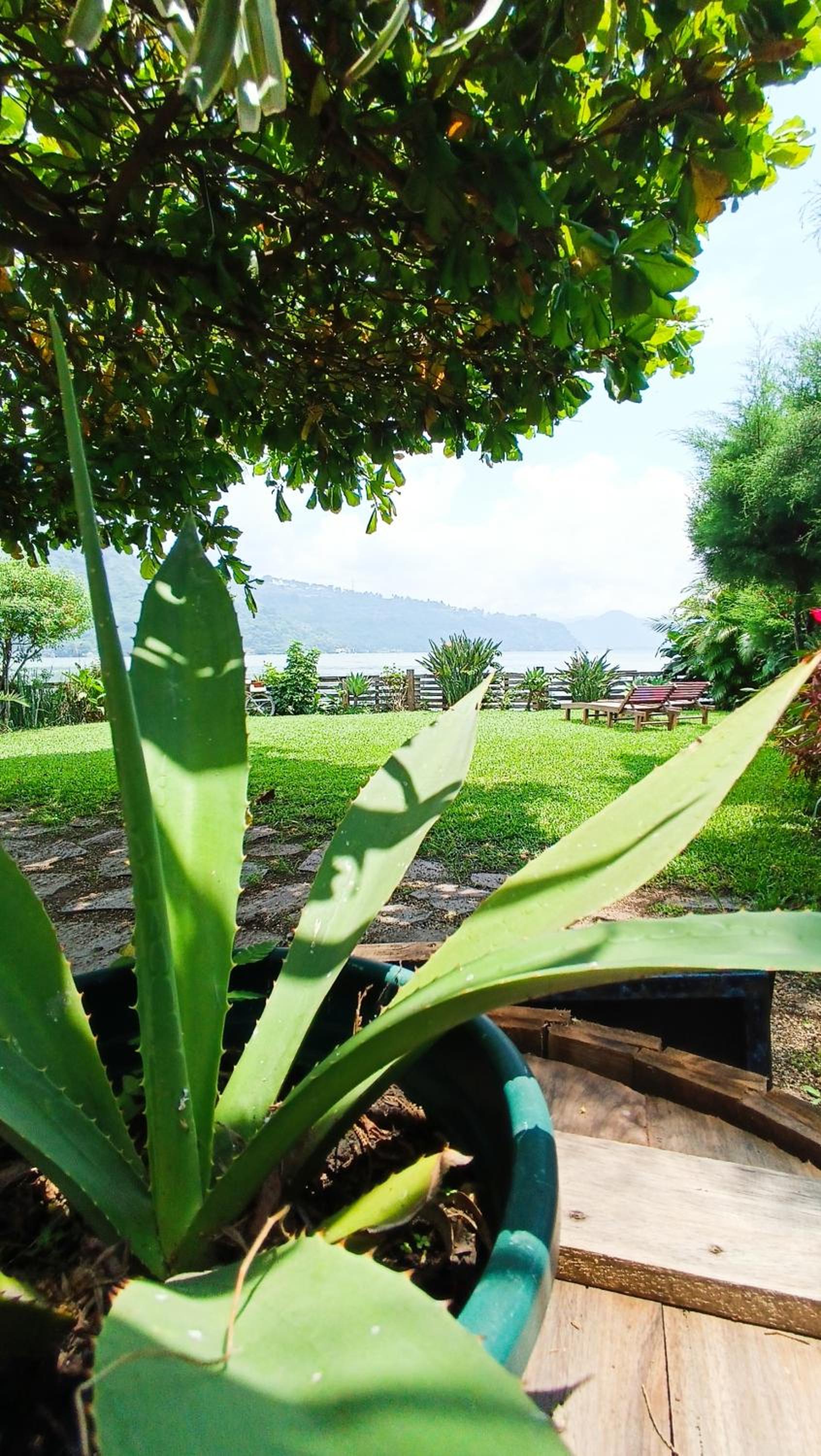 Jardín Paraíso