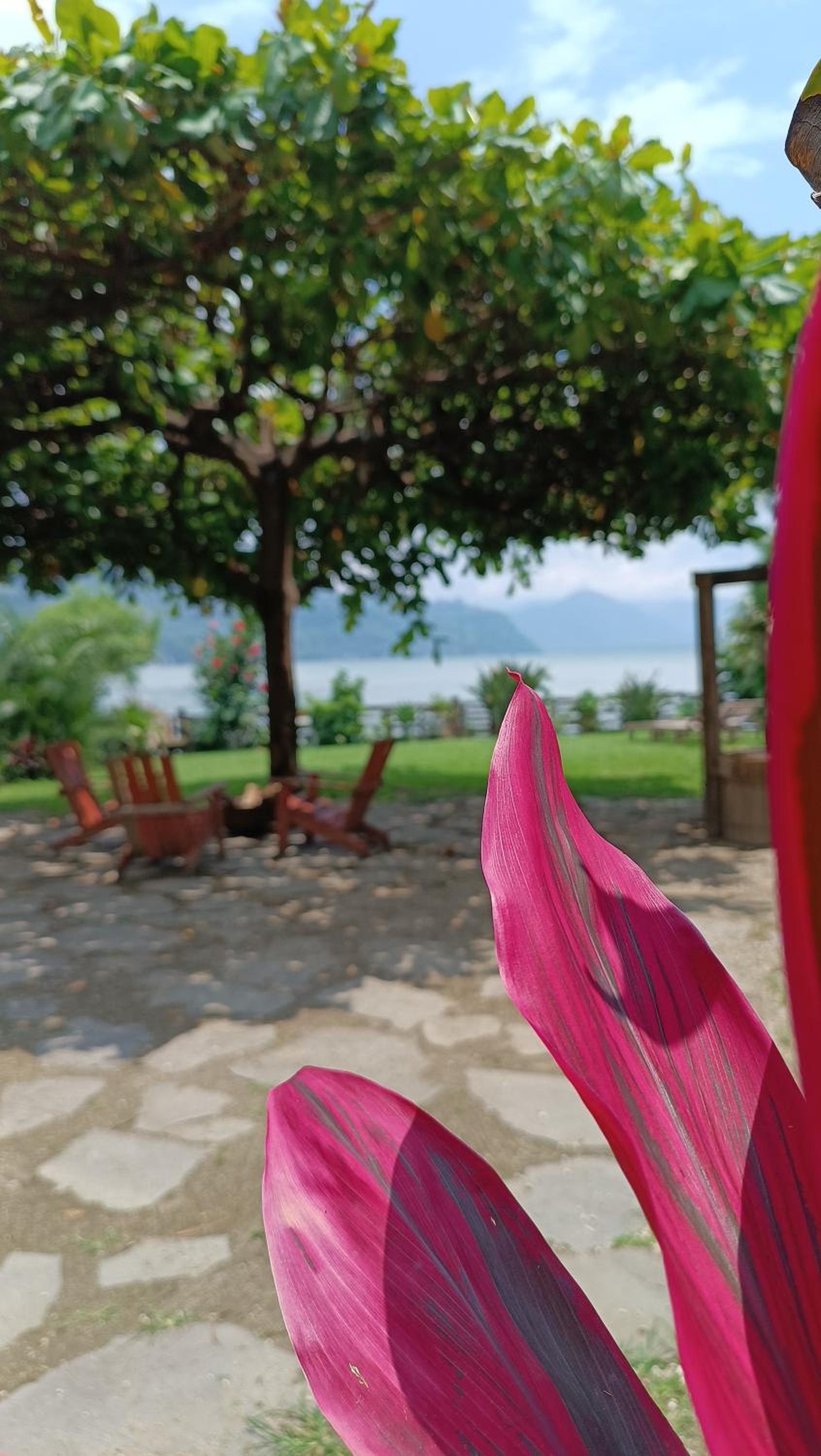 Jardín Paraíso