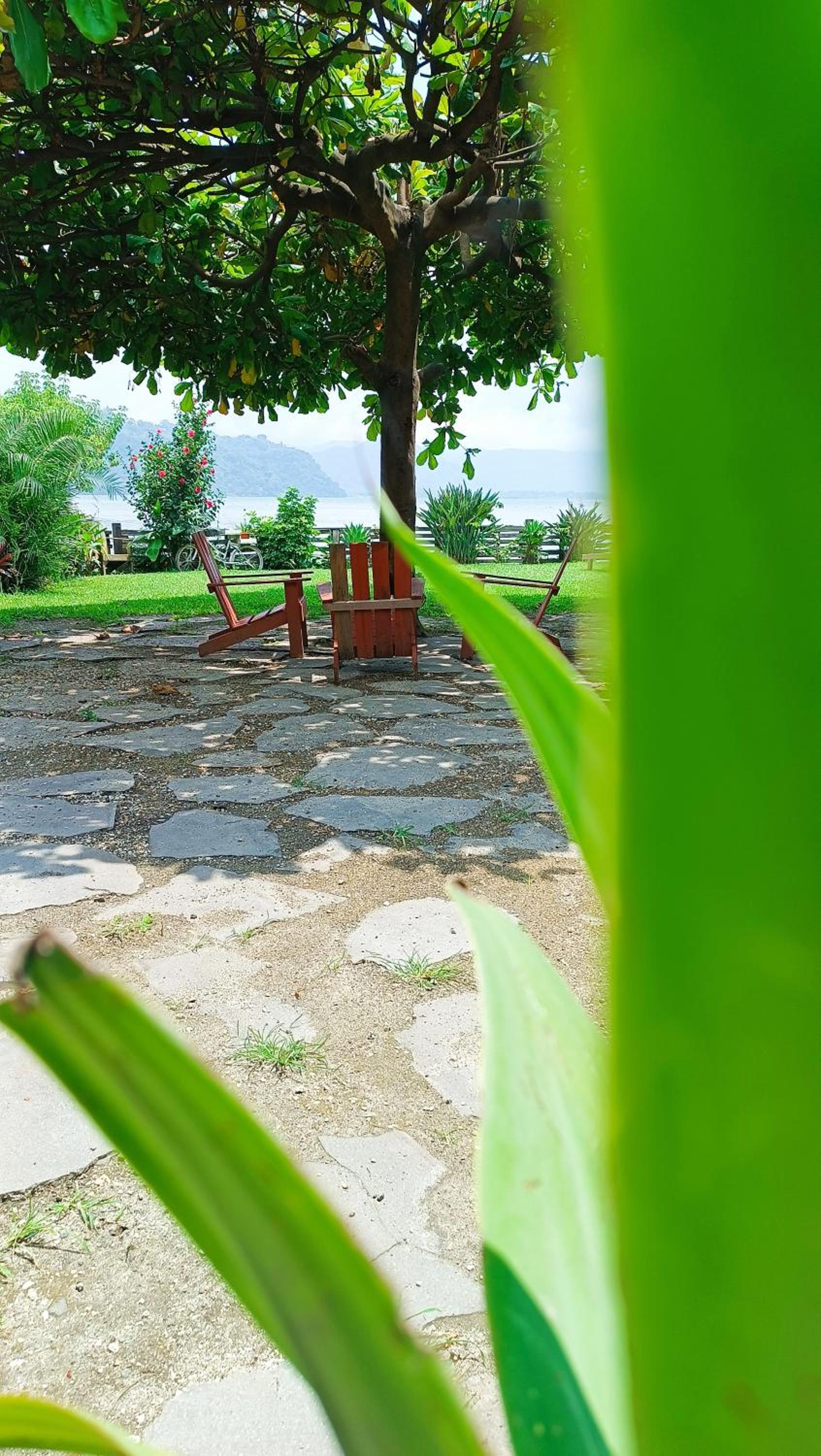 Jardín Paraíso