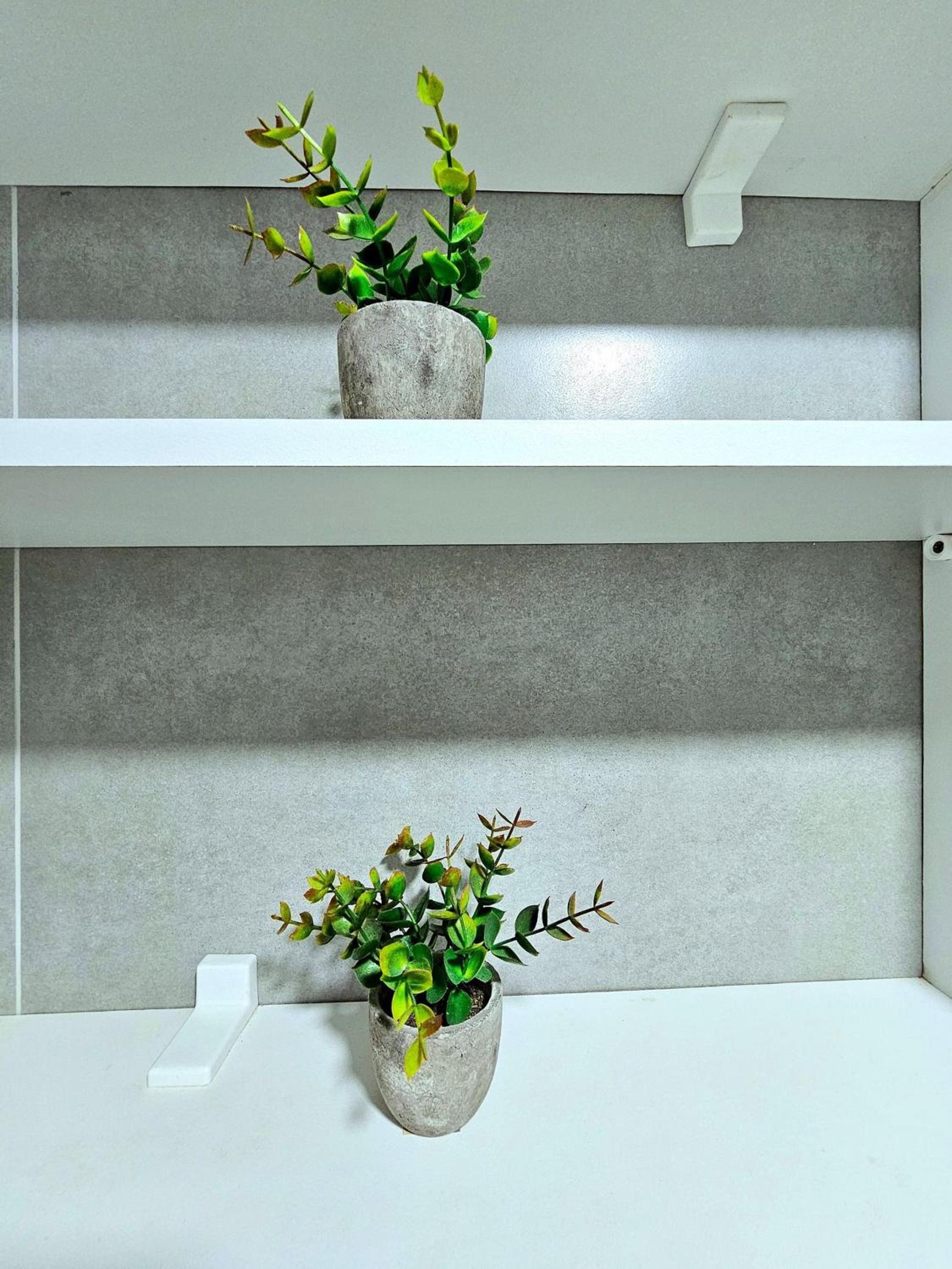 Conforto e Modernidade no Villa Del Porto By HM