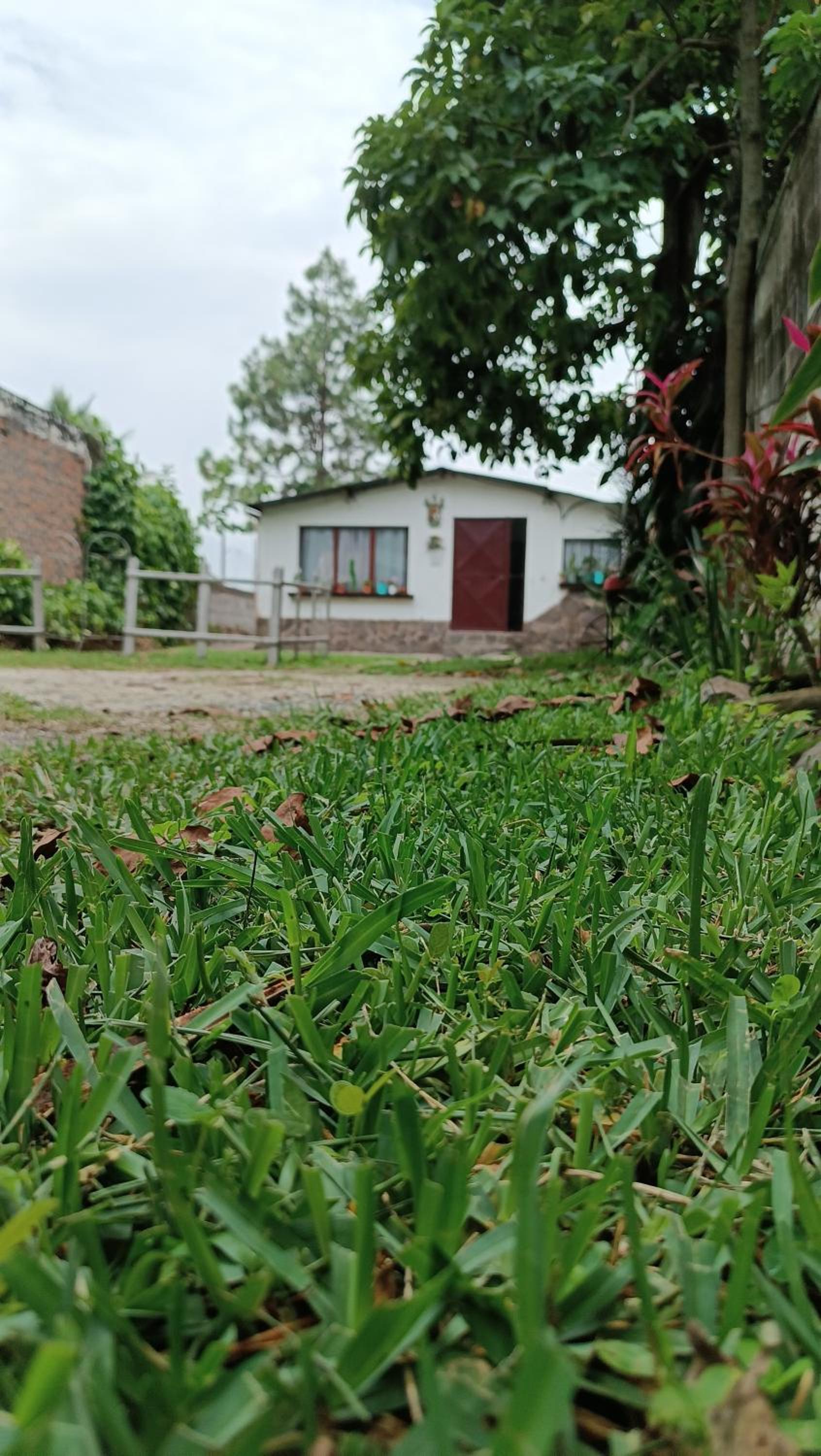Jardín Paraíso