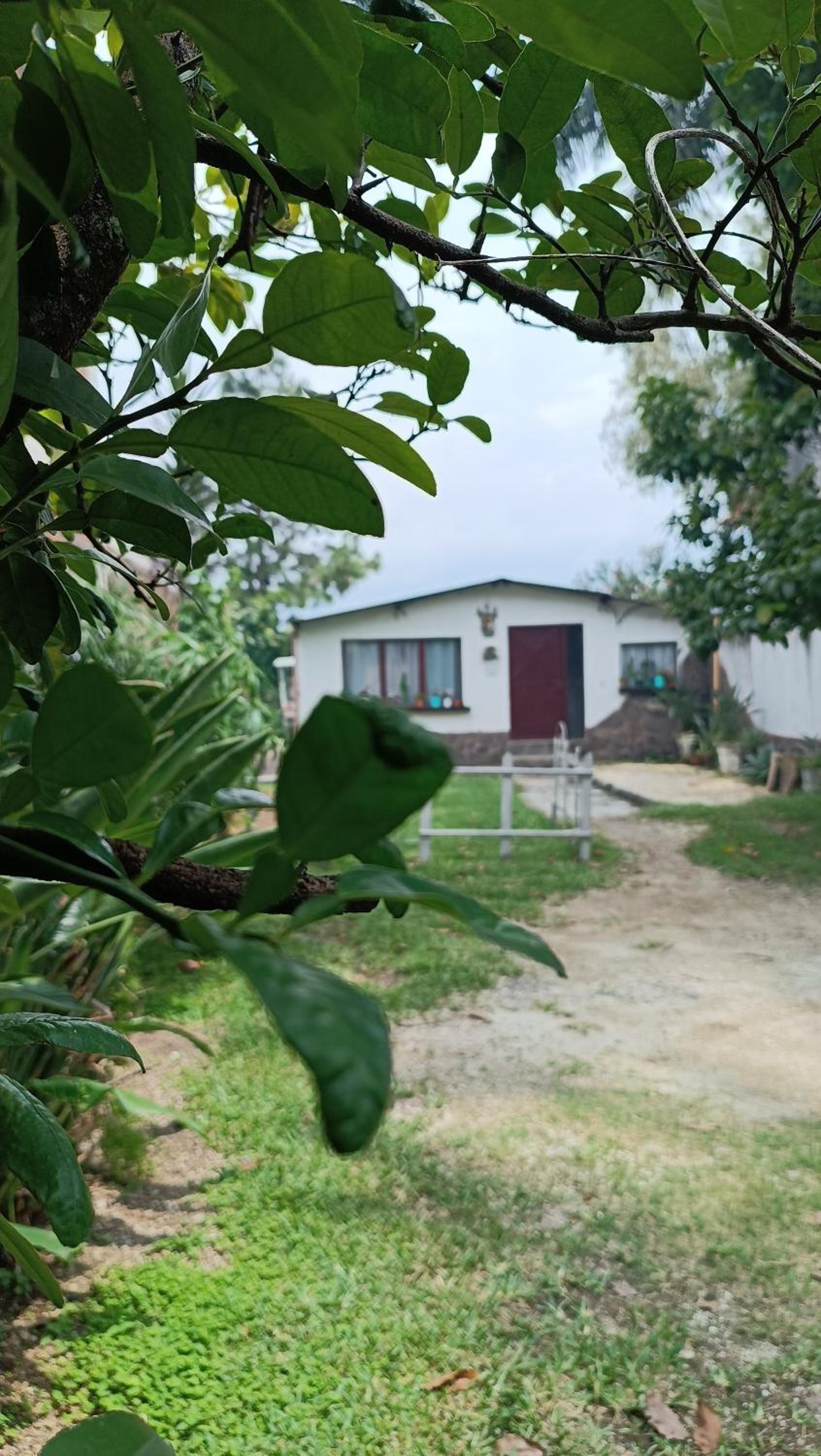 Jardín Paraíso