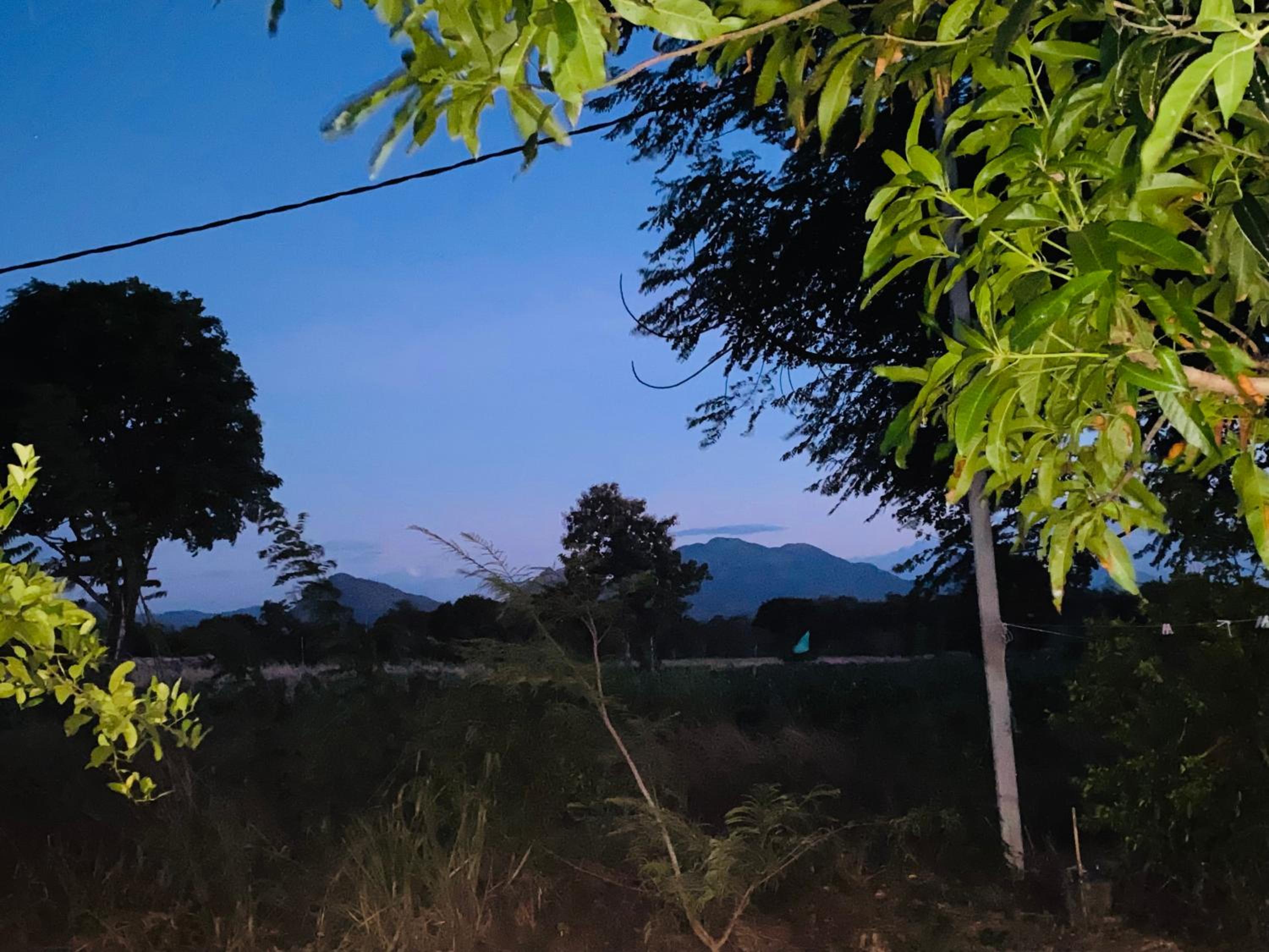 Fairview Dill homestay