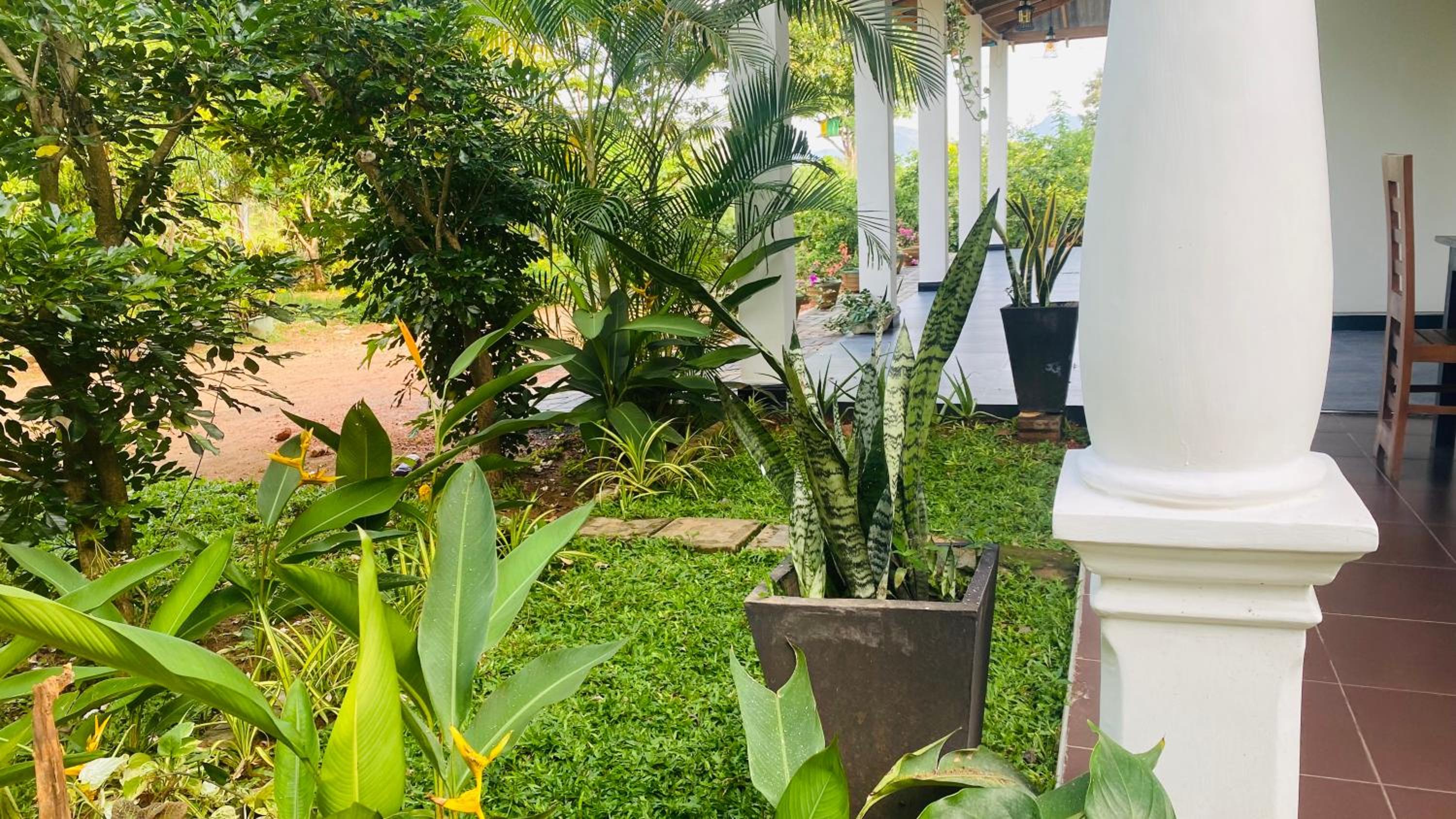 Fairview Dill homestay