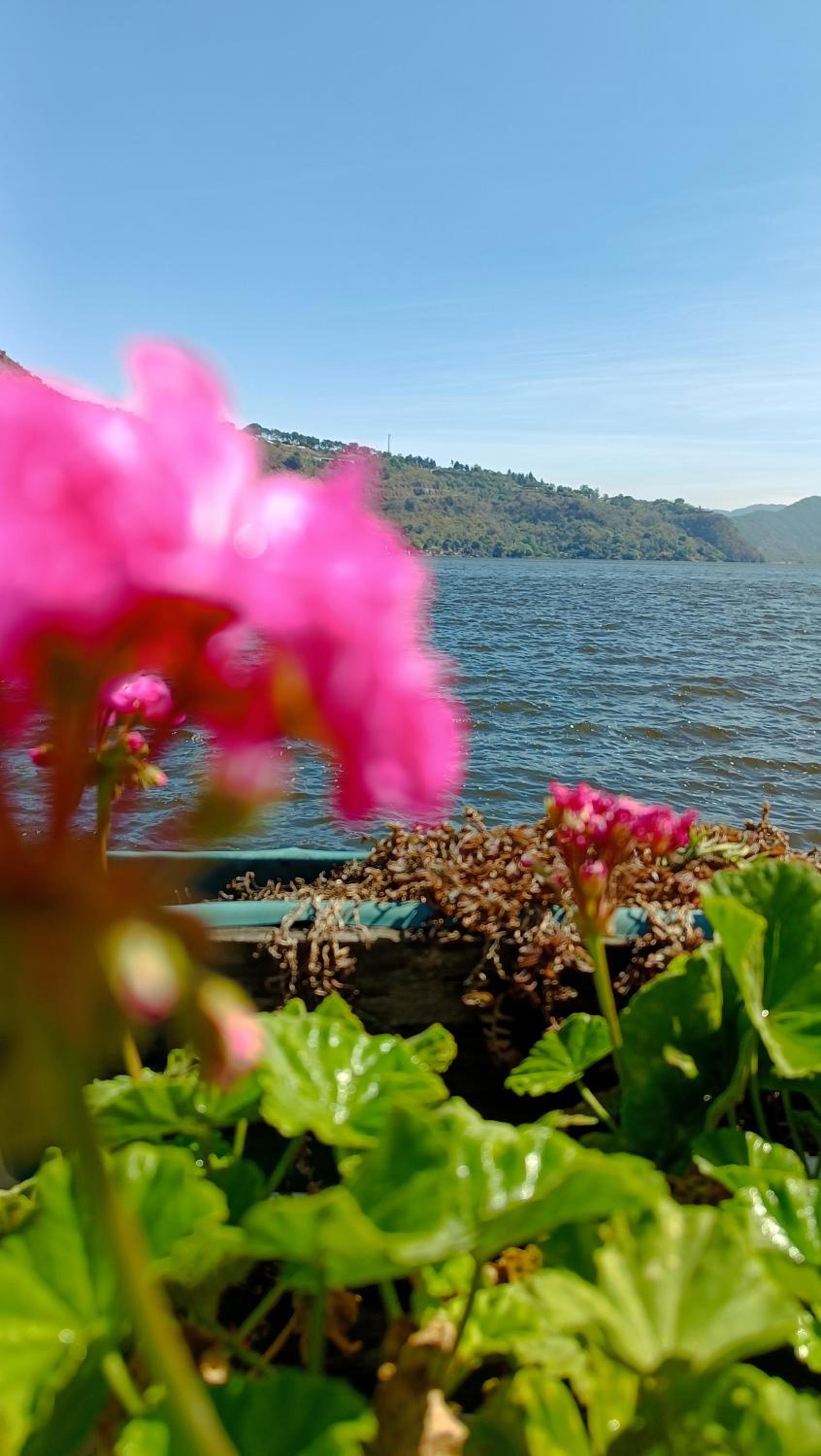 Jardín Paraíso