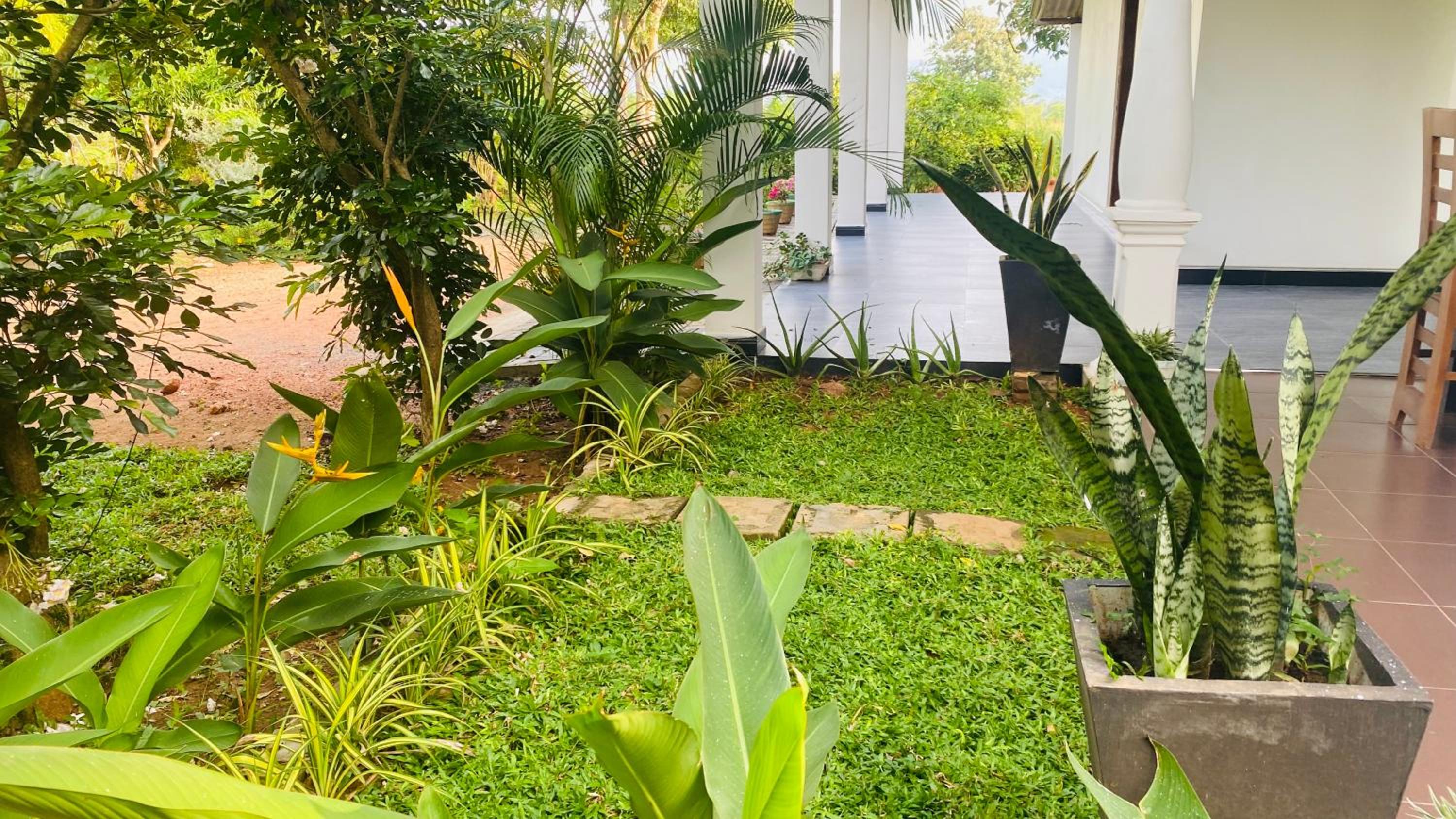 Fairview Dill homestay